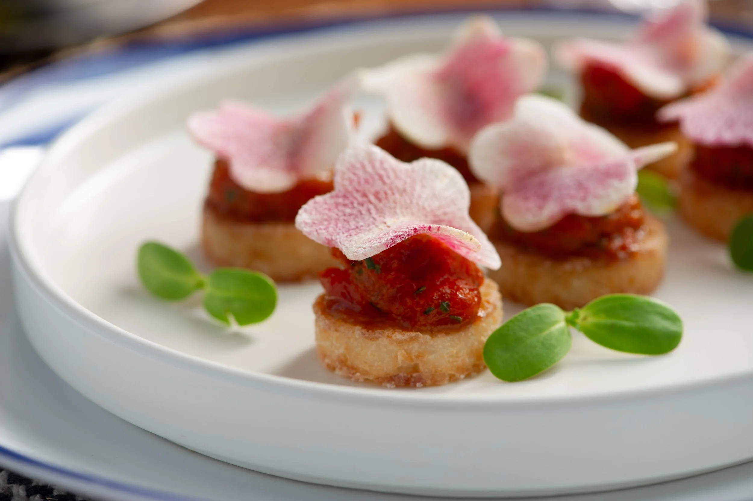 Close-up of four small gourmet appetizers on a white plate, each with a toasted bread base, topped with tomato sauce and garnished with pink and white edible flower petals and a small green herb.