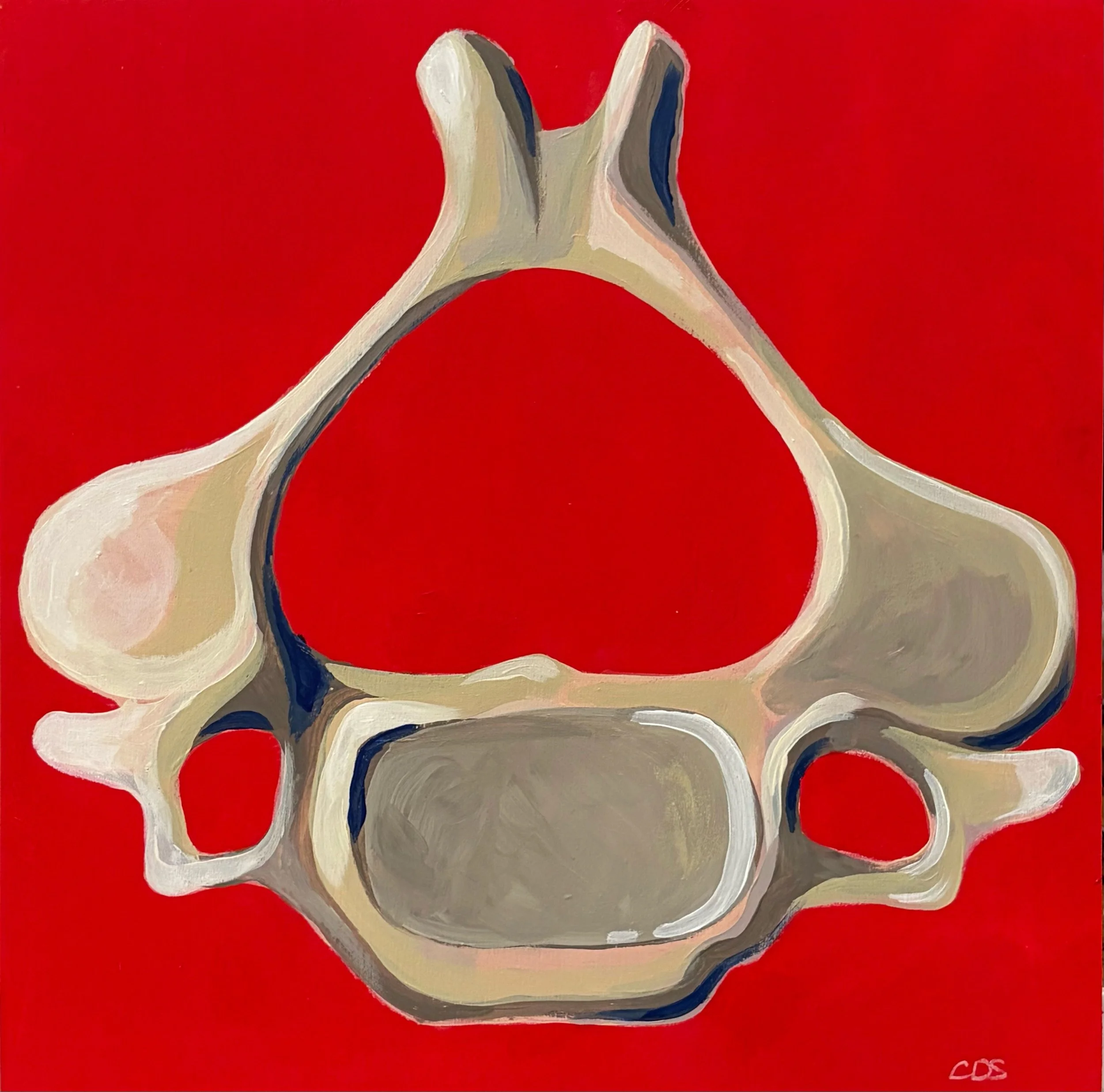Cervical Vertebra Print