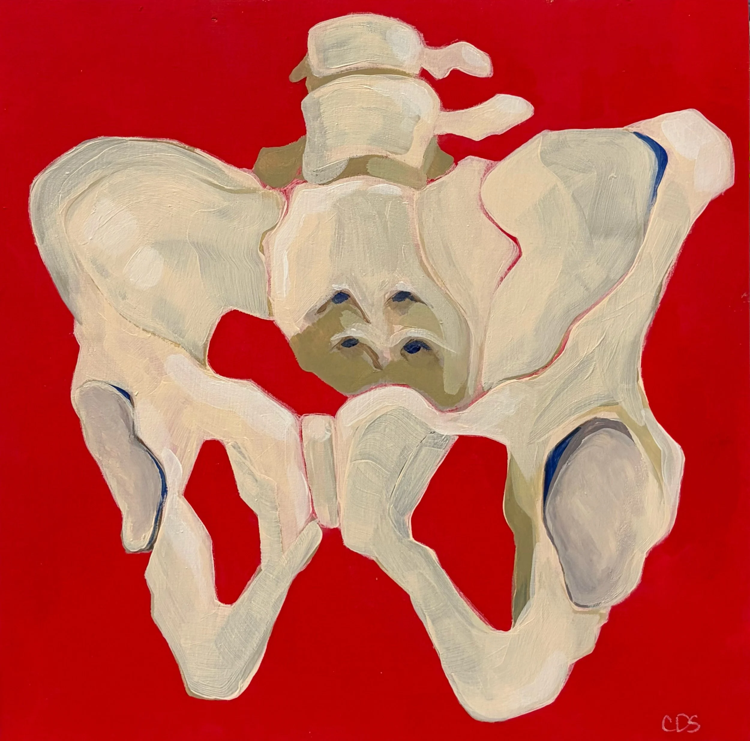 Pelvis Print