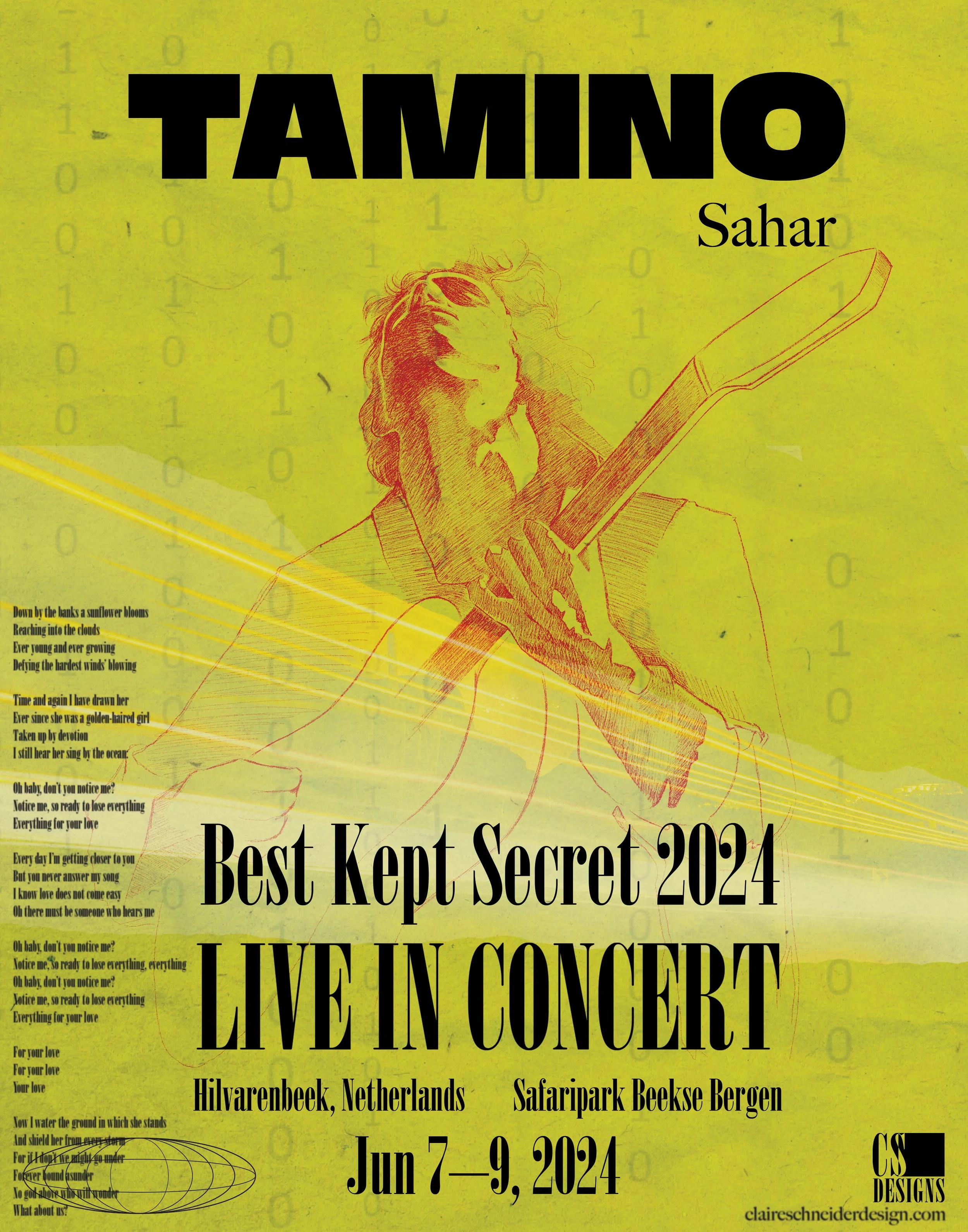Concert poster, including custom illustration