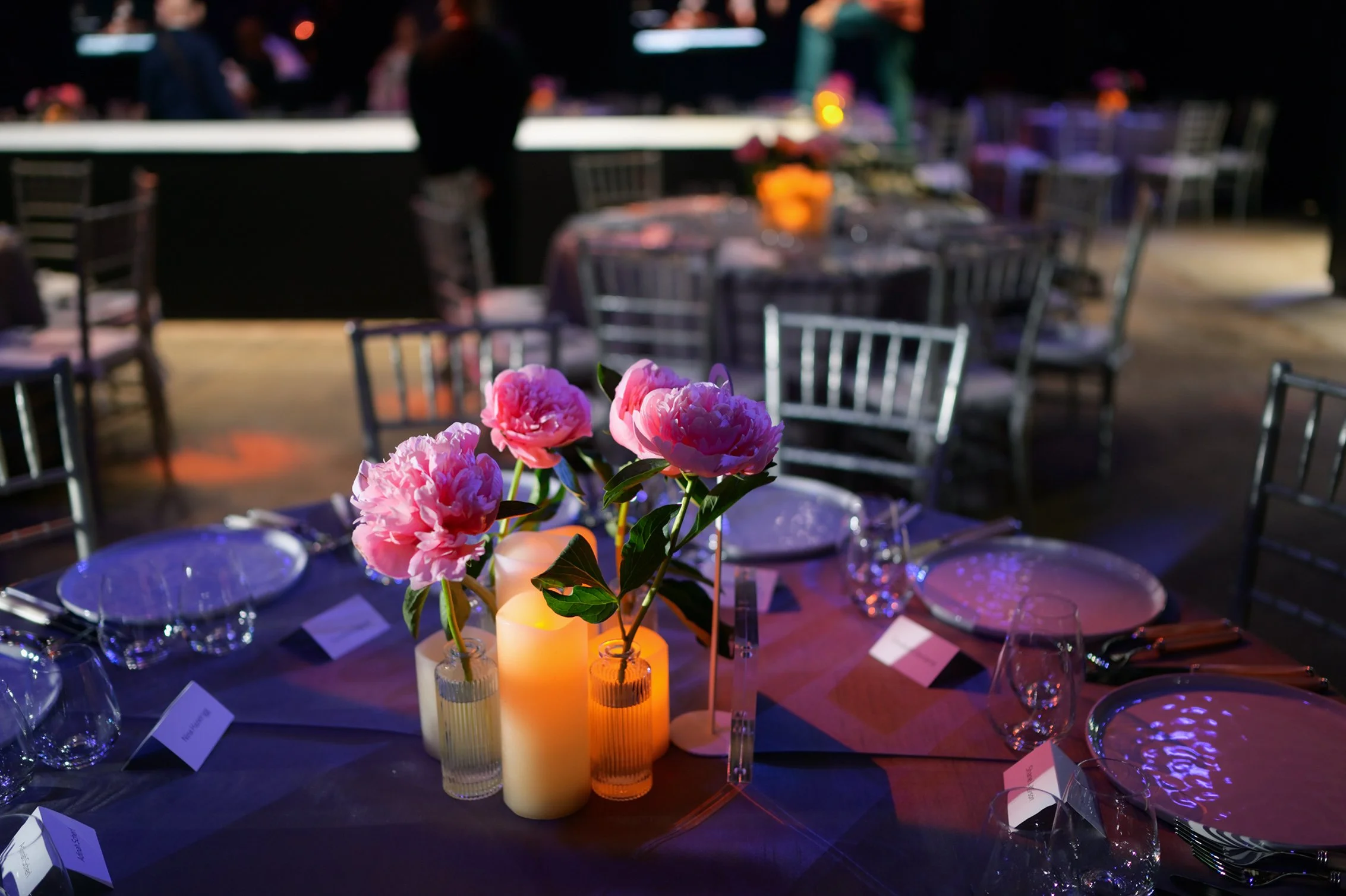 JANE NEW YORK LIVE ARTS ANNIVERSARY GALA 2.JPG