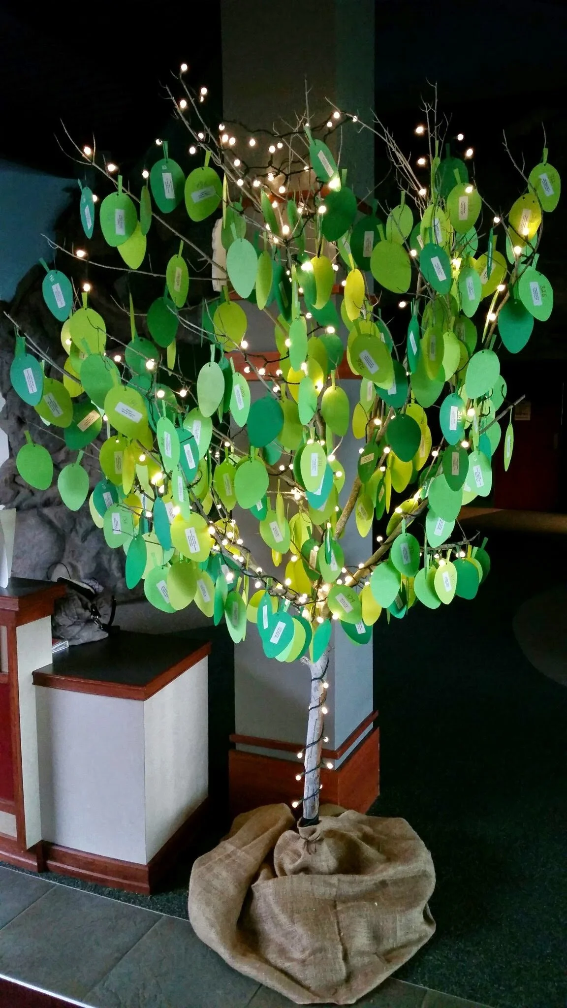 20141031_123251.jpg