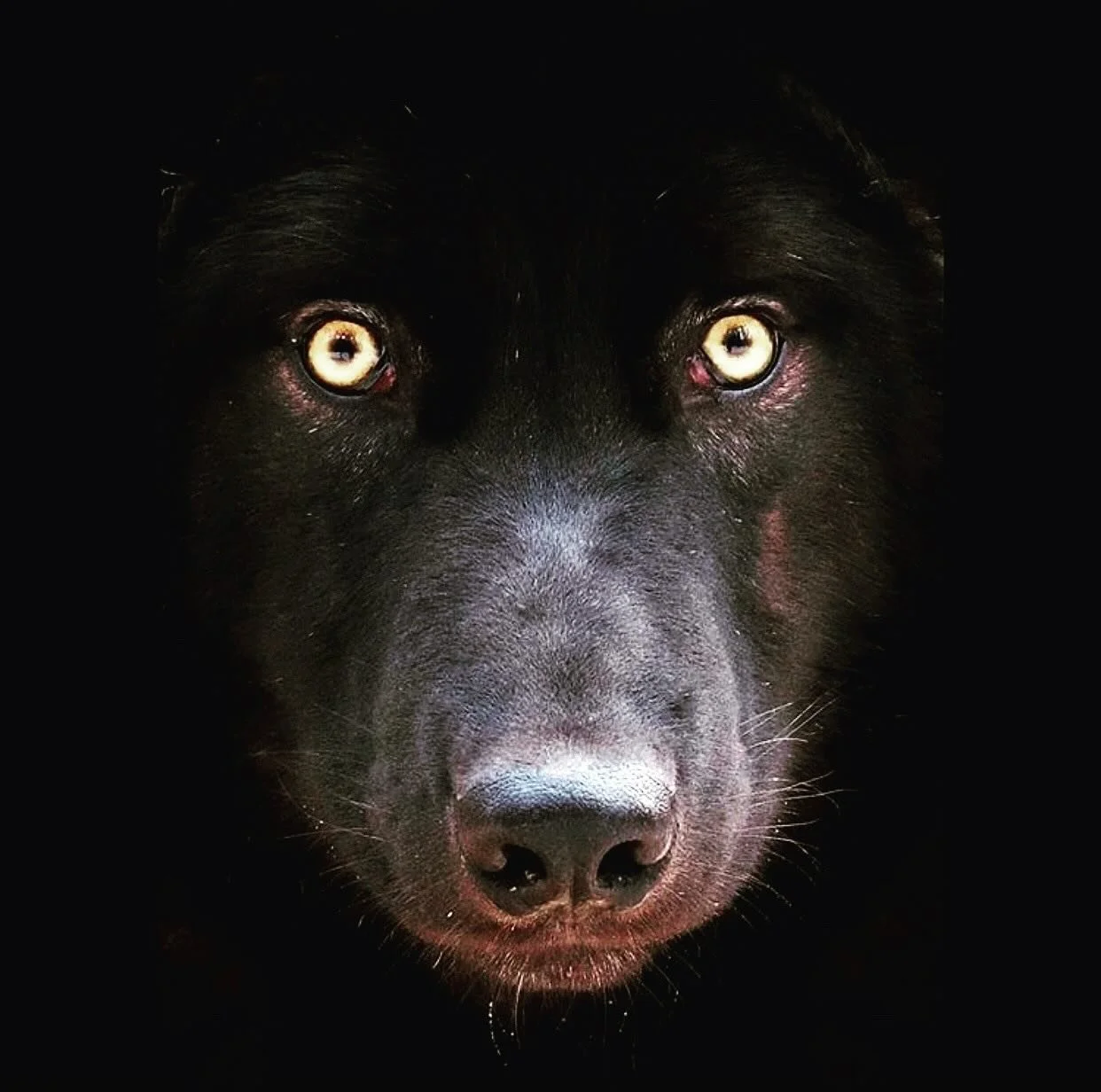 Interested in seeing more animals in the woods?

Try this simple technique to change your experience in nature.

Think of yourself as carrying two circles with you: your circle of perception and your circle of disturbance. Your circle of perception i