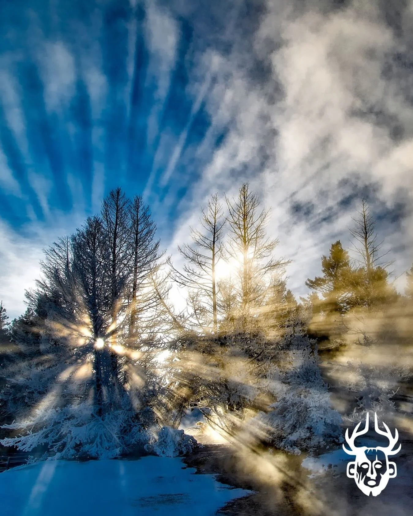 Ever heard of tree gazing?

Tree gazing is a simple yet profound practice that can help expand your consciousness and see the world in new ways. By changing how you perceive a tree, you can unlock new aspects of your awareness and connect more deeply