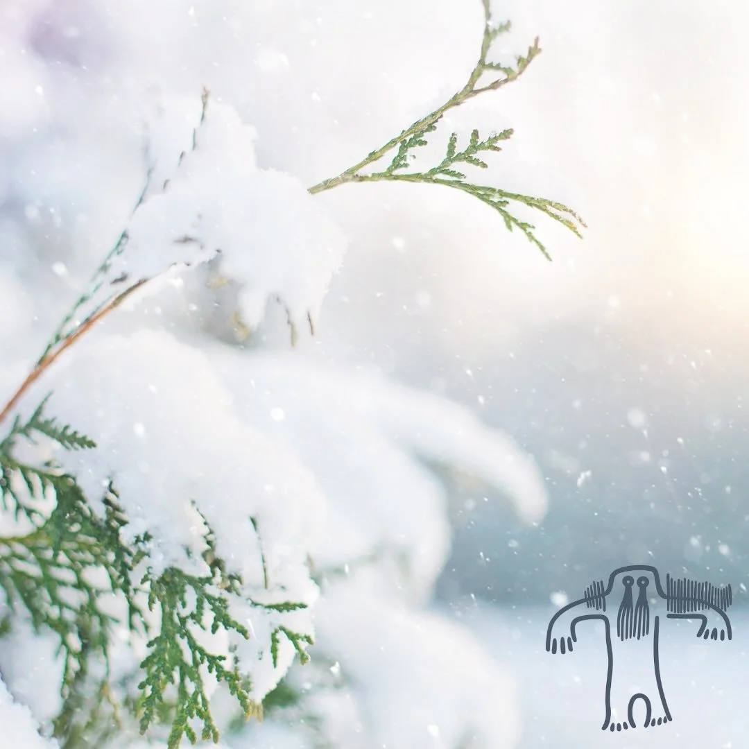 The ground stayed locked this morning. Frost held even after the sun touched the ridge. Footsteps sounded hollow, like walking over thin glass. No fresh snow. Old tracks only. Rabbit from two days back. Coyote earlier in the week. Time becomes clear 