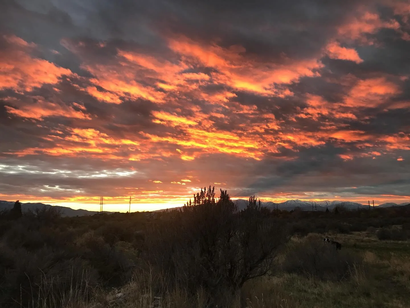 Modern man lives with blinders on, seeing only what he&rsquo;s told, believing only what he&rsquo;s sold.

Take them off. Walk out where the wind still speaks.

The world will remind you how to see.

#intheoldwaymedia #bushlorepress #wearenature #ear