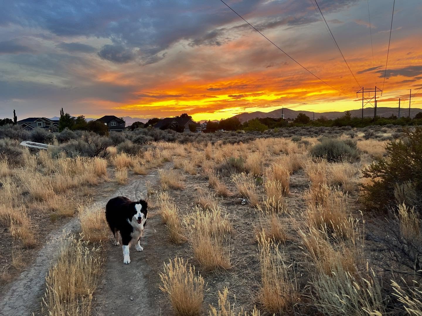 &ldquo;The animals want to communicate with us, but the Great Spirit does not intend they shall do so directly; we must do the greater part in securing an understanding.&rdquo; -Brave Buffalo, Lakota

#InTheOldWaymedia #Bushlorepress #CulturalPreserv