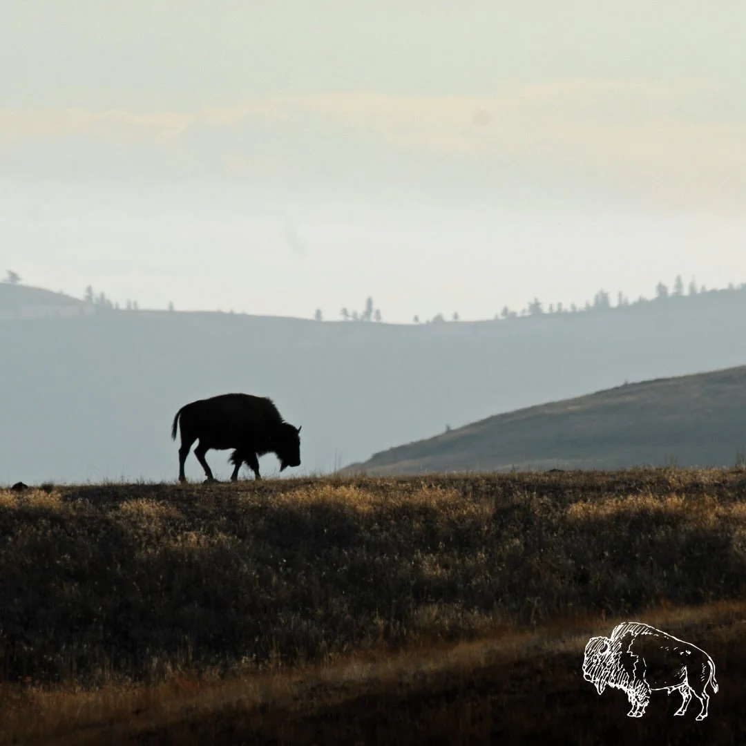 Earth Day gets one day on the calendar. The Earth does not.

You live here. You eat from this ground. You breathe what the trees and waters give. That makes you an Earth person. Not by belief. By fact. Every one of us shares that.

The problem is not