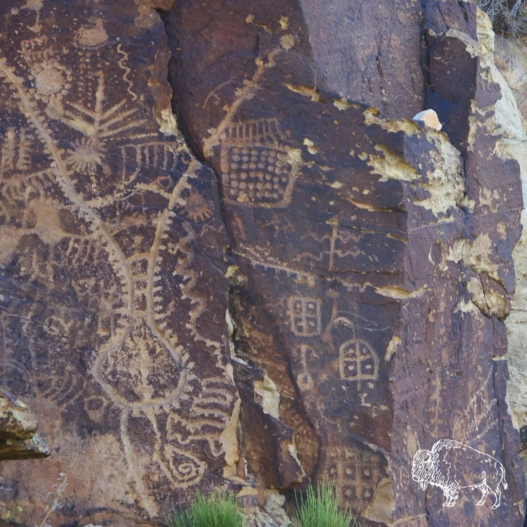 Our species has existed for roughly 300,000 years. For nearly all of that time, human beings lived close to the earth. We slept under the stars. Walked with the seasons. Watched animal migrations. Read the weather in the wind and clouds. Knew plants 