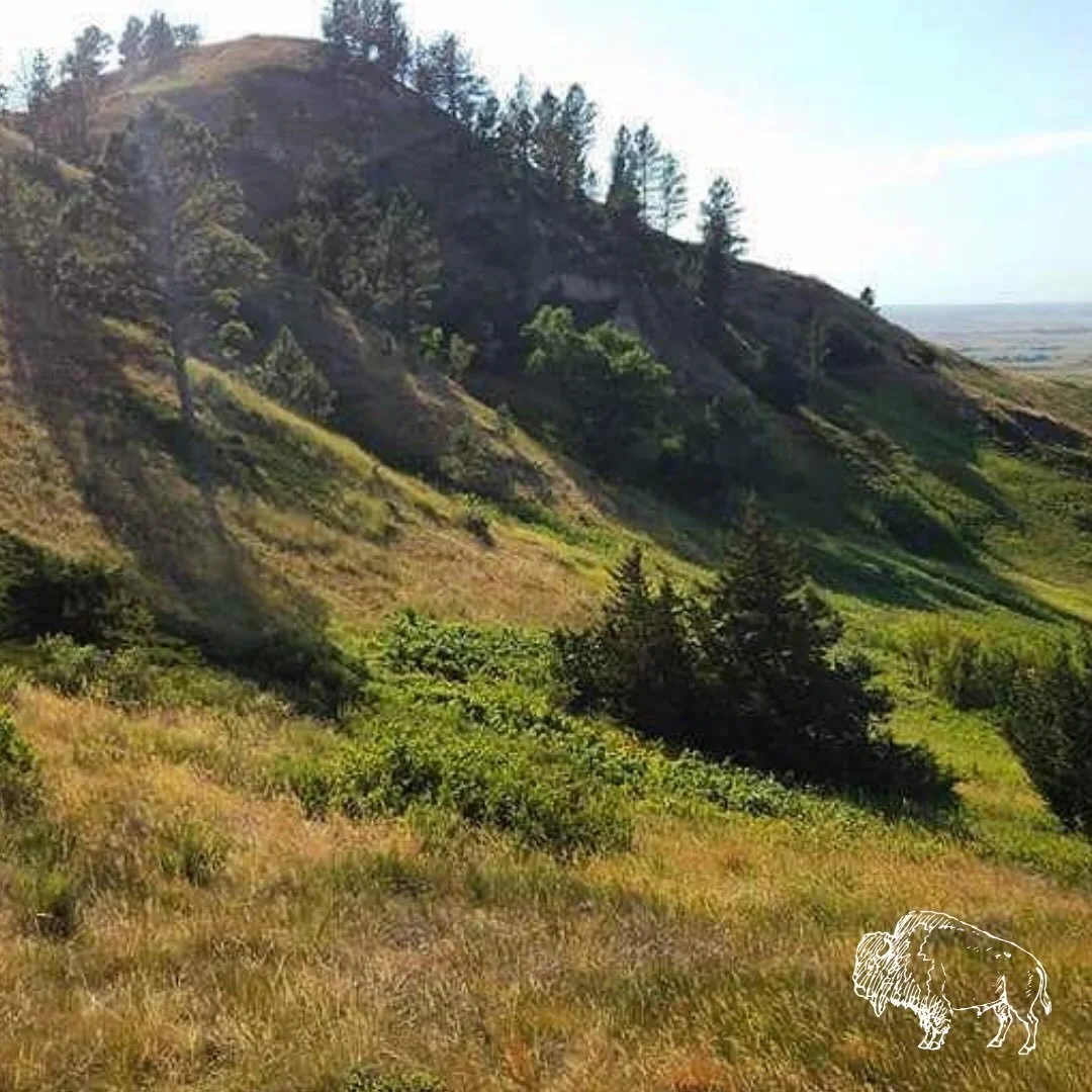Nearly every traditional culture carried stories about places people approached carefully, or avoided altogether. Sacred groves. Mountain peaks. Burial grounds. Springs. Caves. Certain stretches of forest where voices lowered, and behavior changed.

