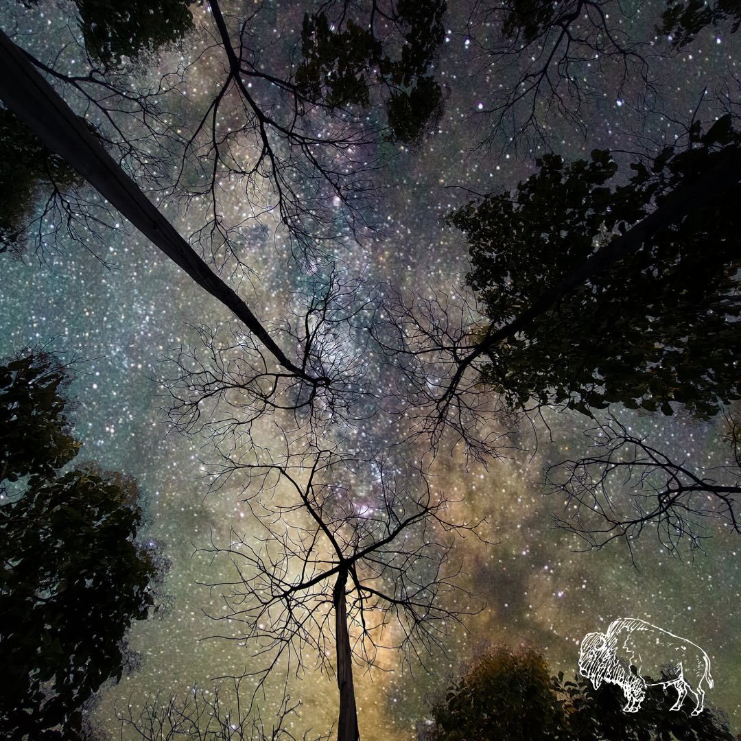 Many modern spiritual teachings repeat the phrase, &ldquo;You create your own reality.&rdquo;

I do not believe this is entirely true.

We do not stand apart from the world, shaping existence through thought alone. We live within relationship. With t
