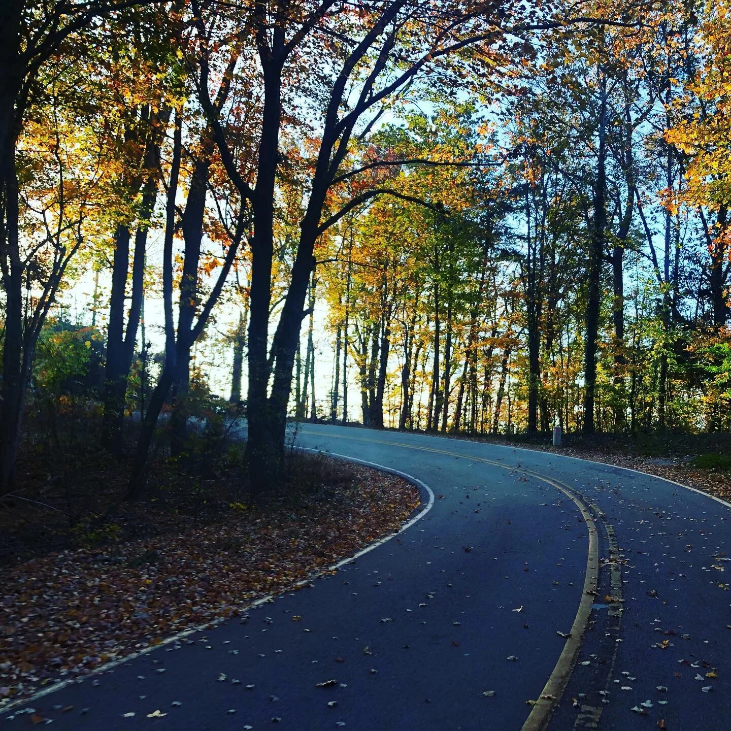 GVL Fall 🚴🏼