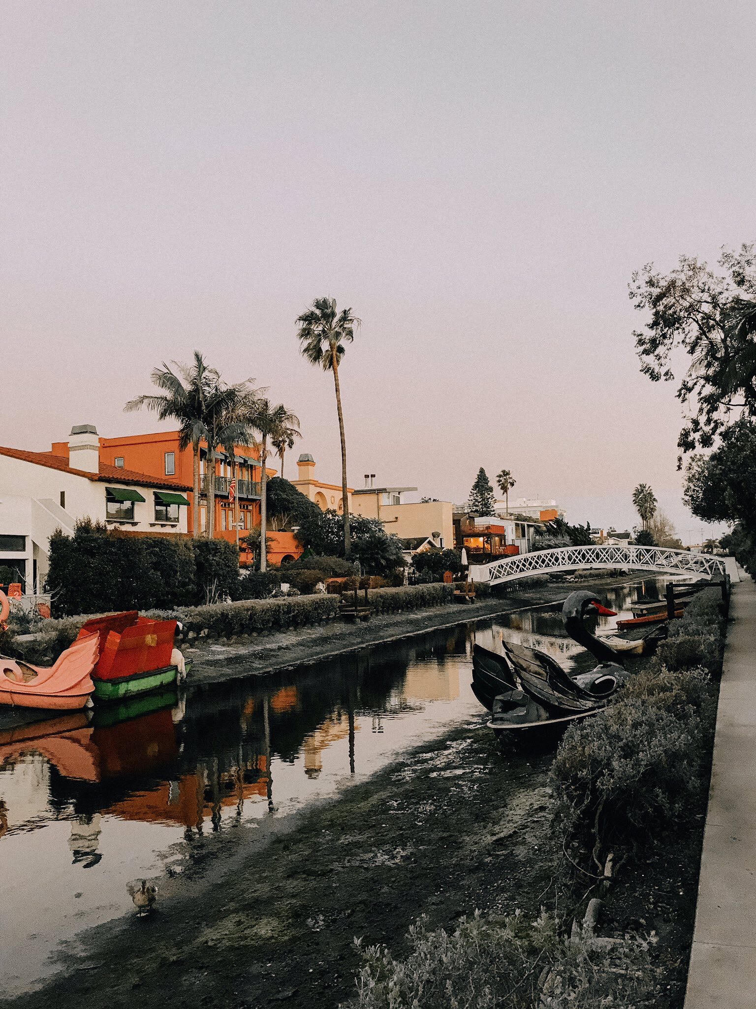 LA.jpg