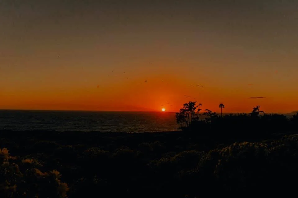 la sunset.jpg
