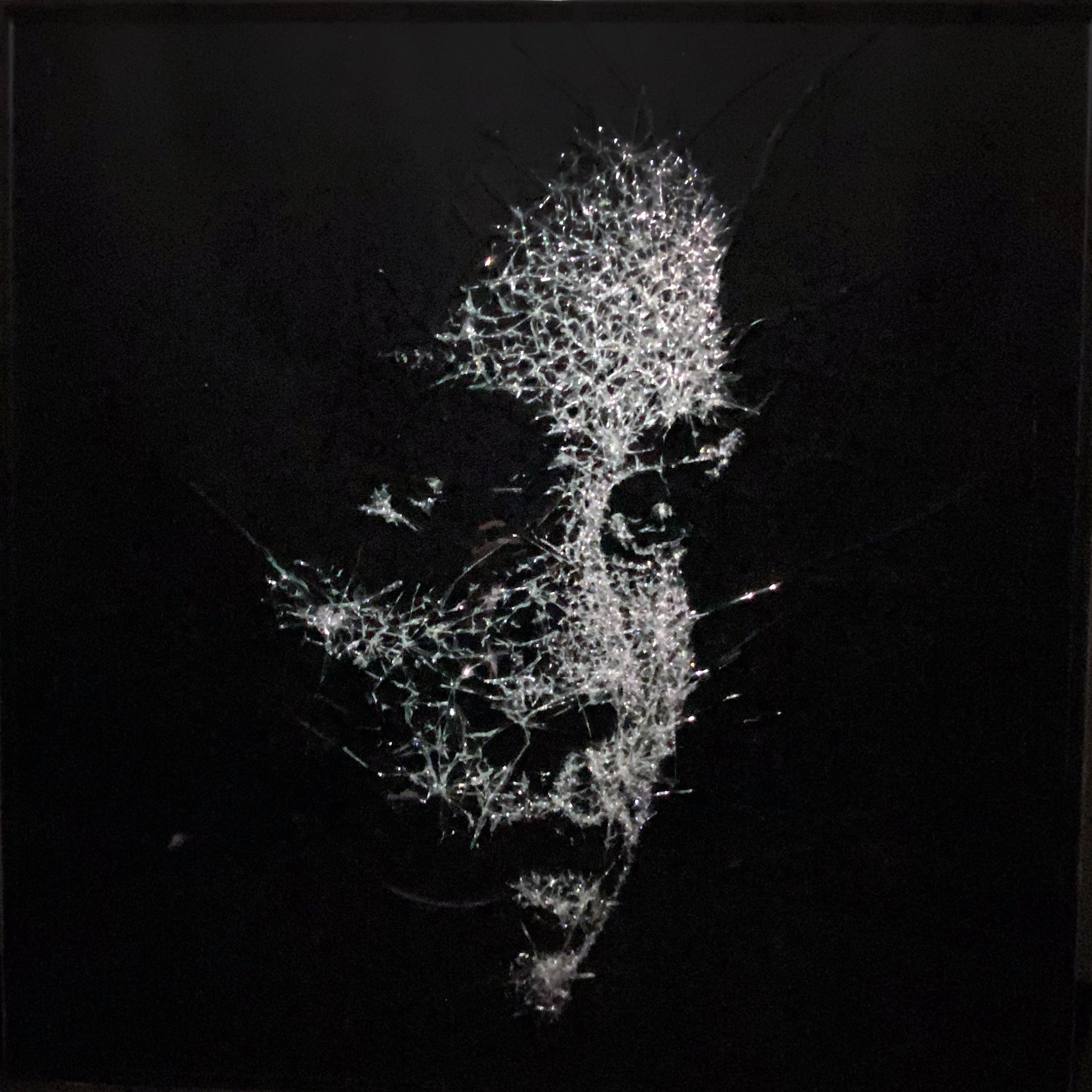 Untitled 5 [ 100.0 x 100.0 cm ]