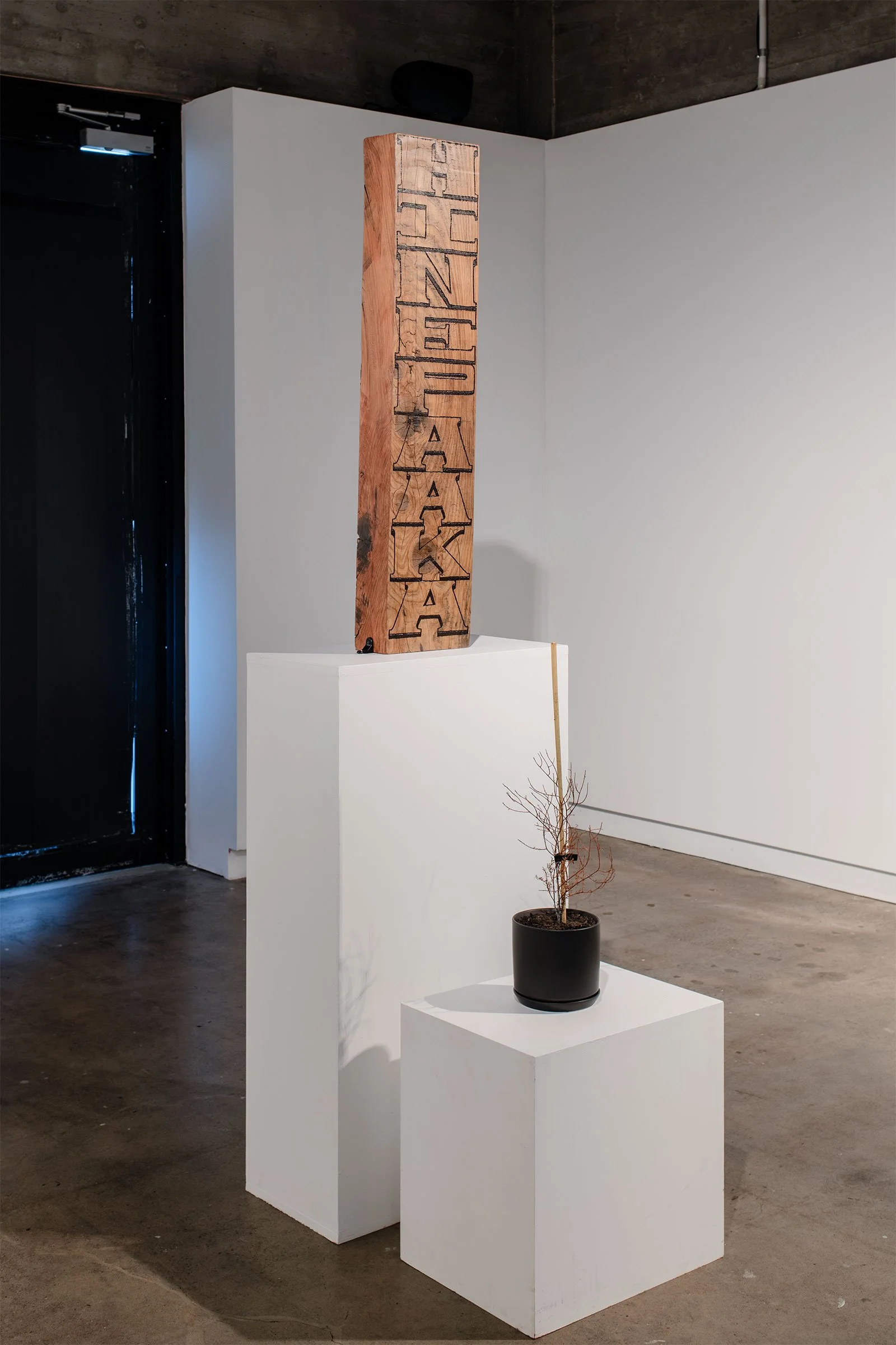 08_He_Pou_Whakamaumahara_a_Hine_Paaka01.jpg