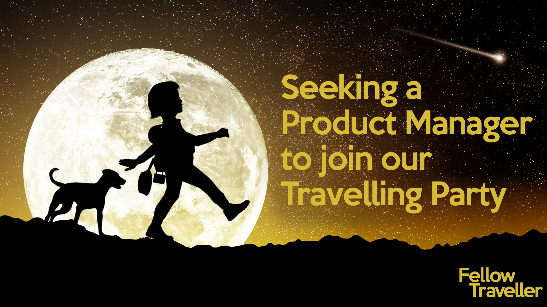 Seeking a Product Manager to join our Travelling Party