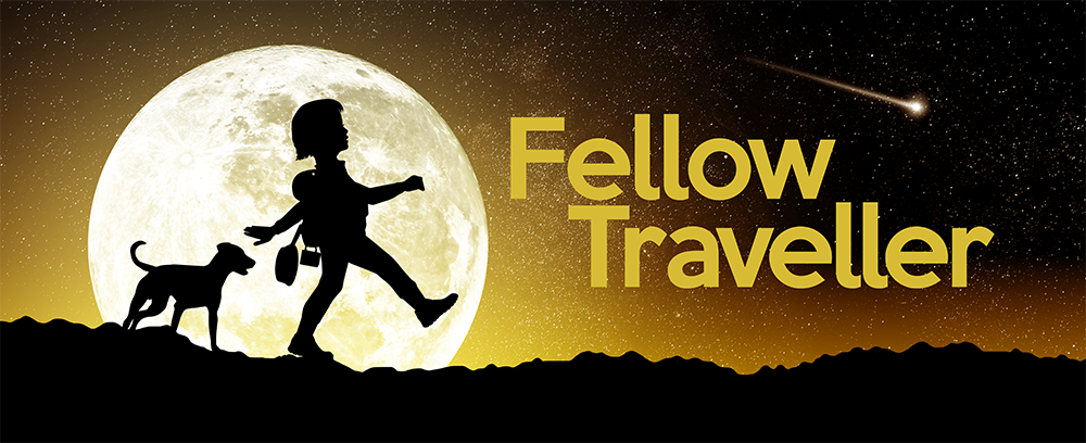 Seeking a Channel Marketing Executive to join our Travelling Party