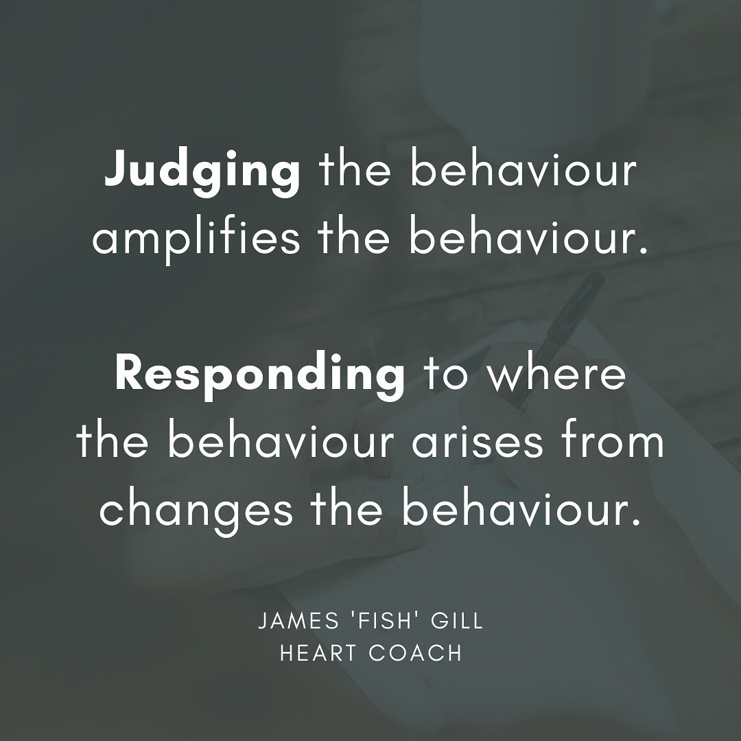 Whether it&rsquo;s drawing boundaries with an unruly child, or calling out hurtful behaviour in our partnerships, we tend to HABITUALLY react to the behaviour with judgement.

But, behaviour only EVER shifts when the EXPERIENCE from which the behavio