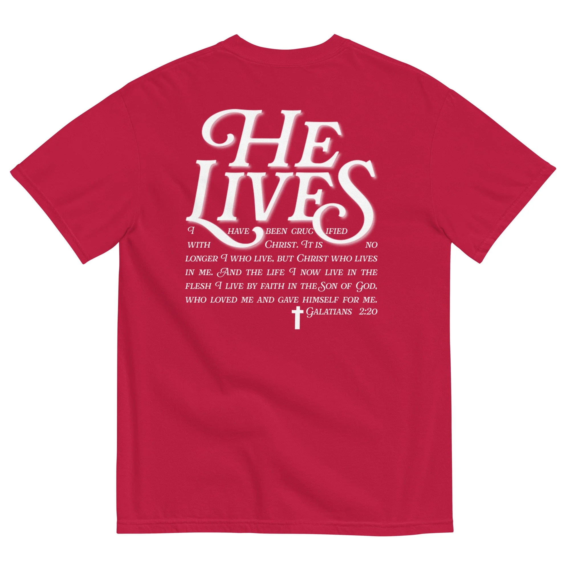 unisex-garment-dyed-heavyweight-t-shirt-red-back-66568886e522d.jpg