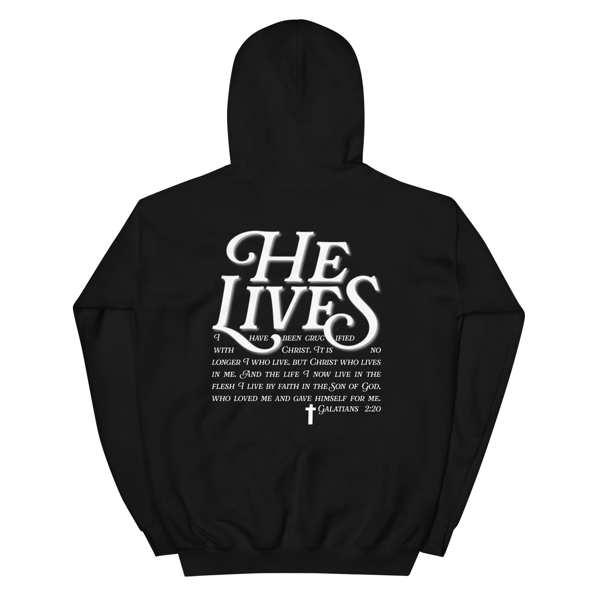 unisex-heavy-blend-hoodie-black-back-66568b12c748f.jpg