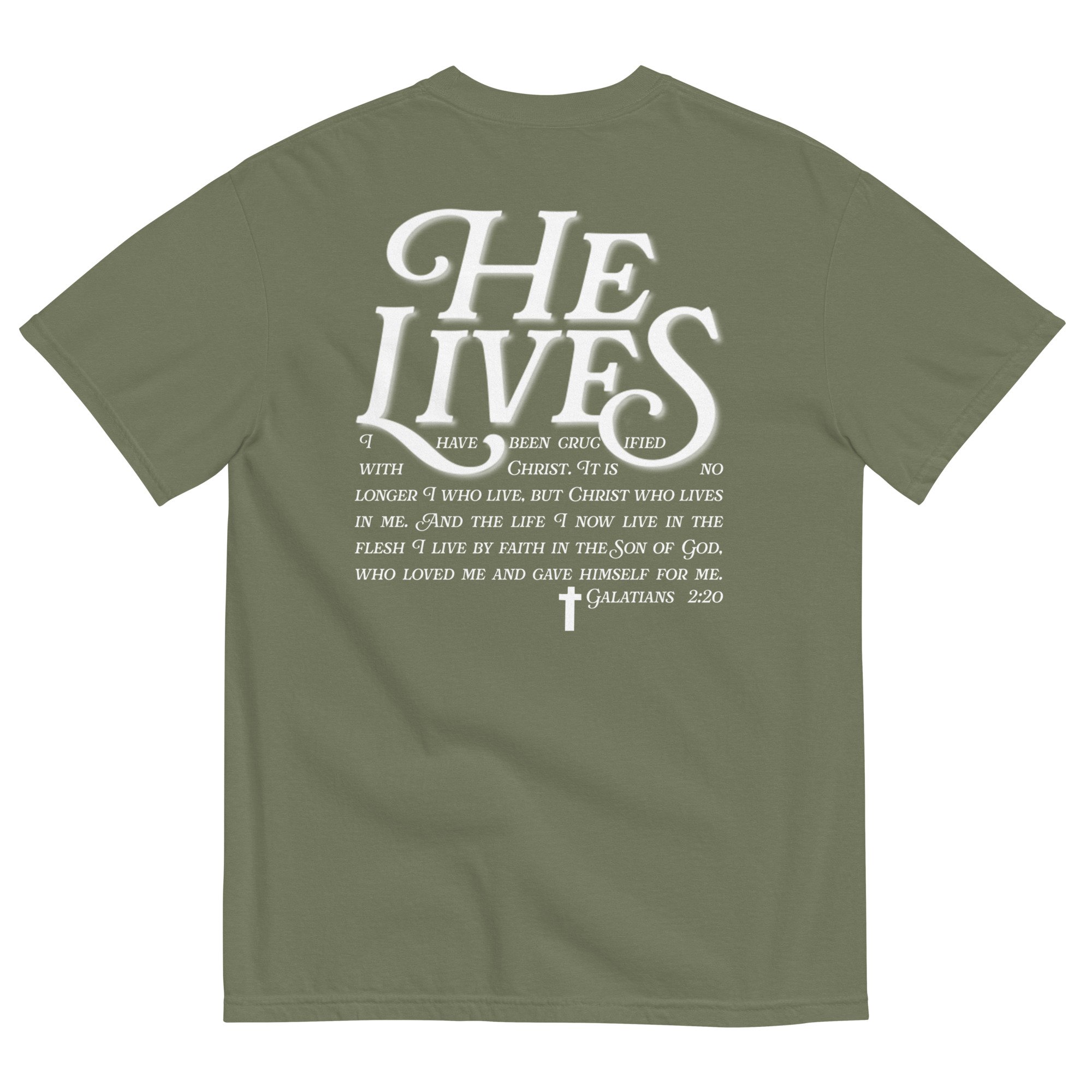 unisex-garment-dyed-heavyweight-t-shirt-moss-back-66568886e80fb.jpg
