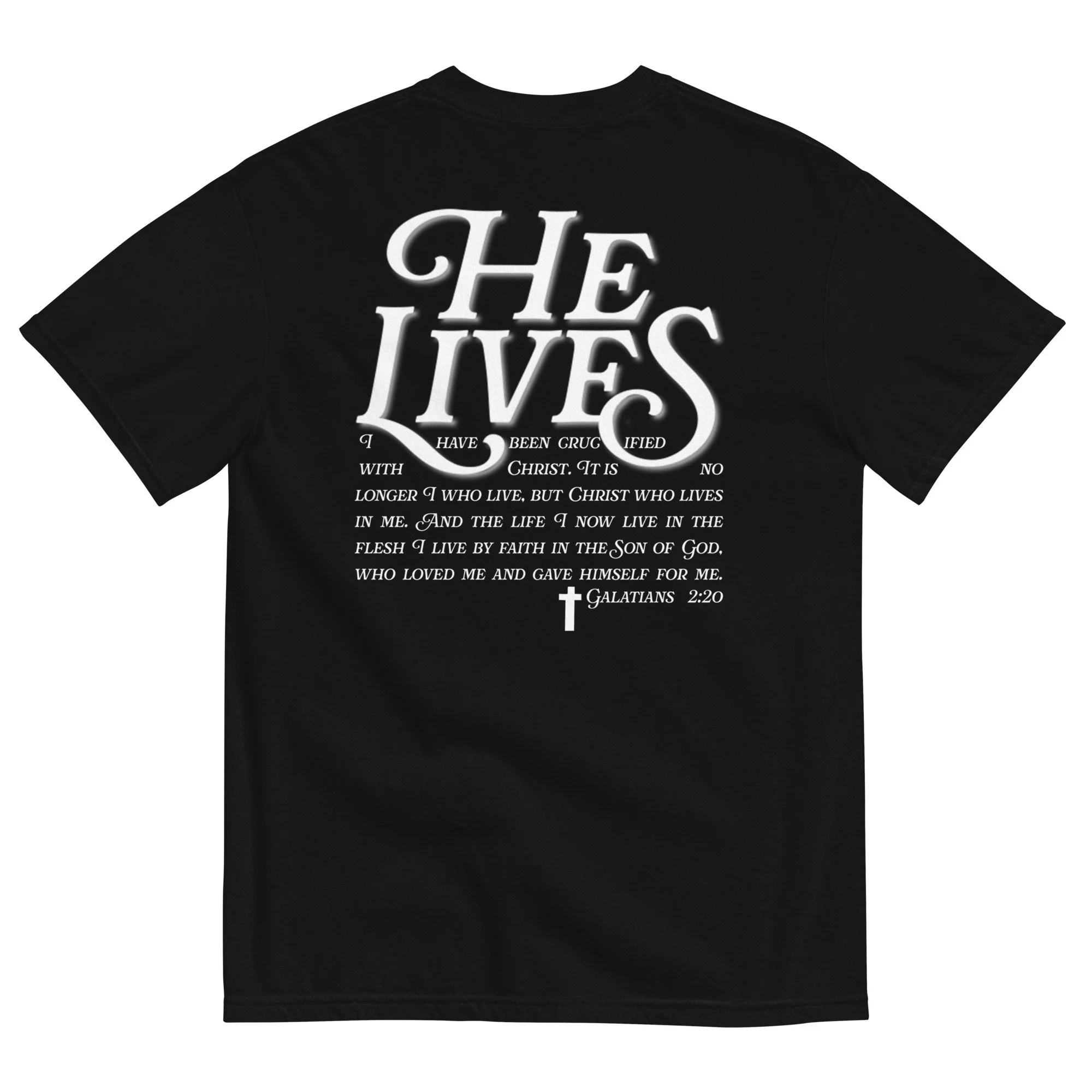 unisex-garment-dyed-heavyweight-t-shirt-black-back-66568886e478a.jpg