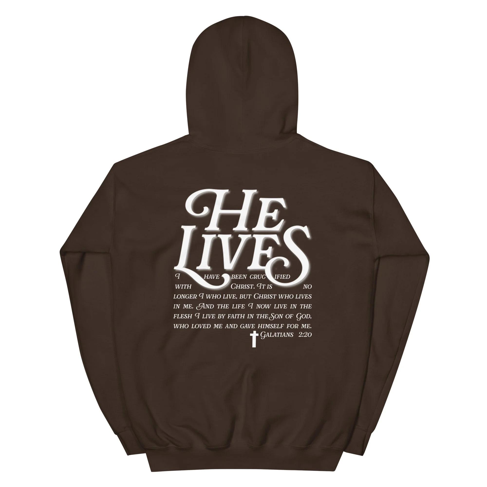 unisex-heavy-blend-hoodie-dark-chocolate-back-66568b12c5763.jpg