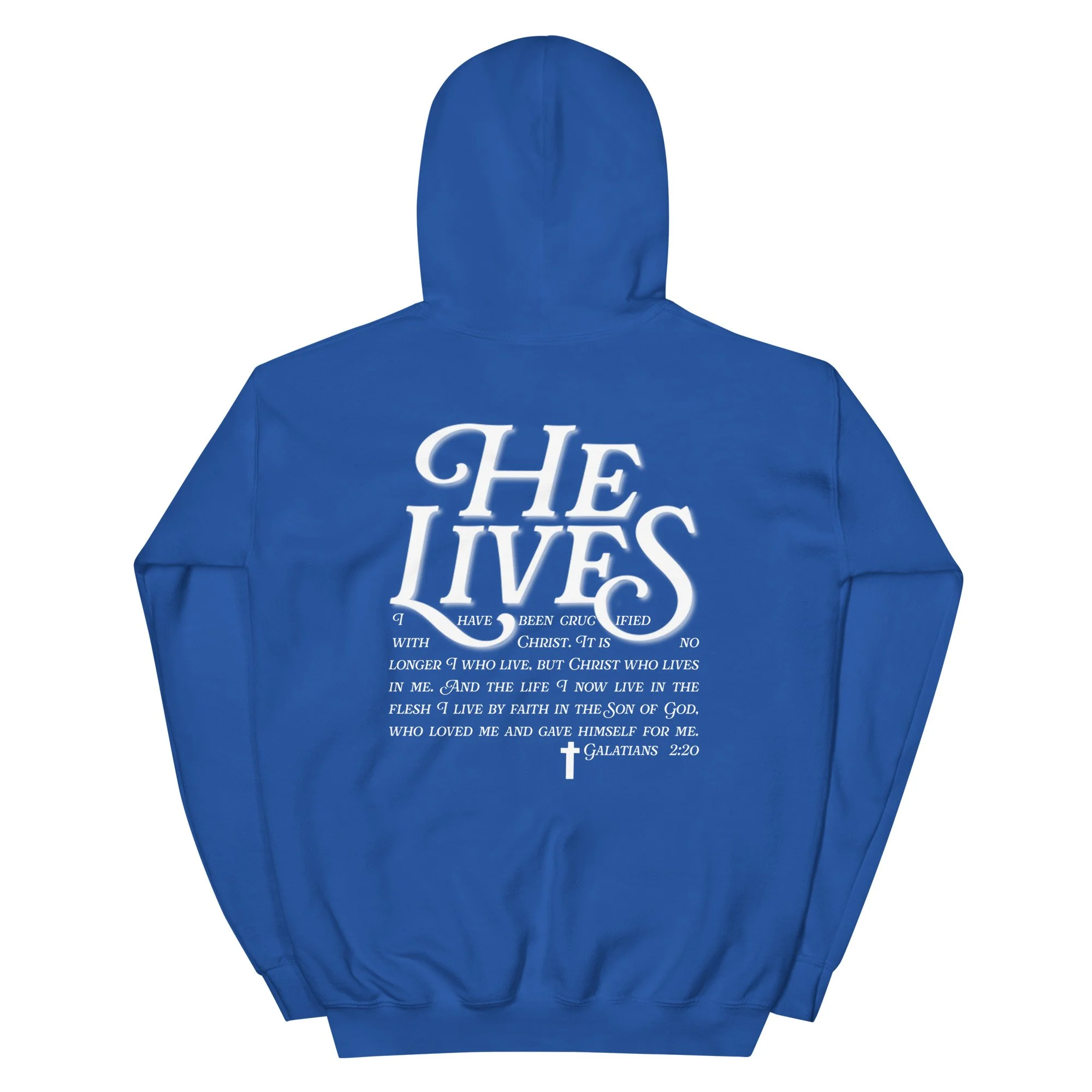 unisex-heavy-blend-hoodie-royal-back-66568b12cc421.jpg