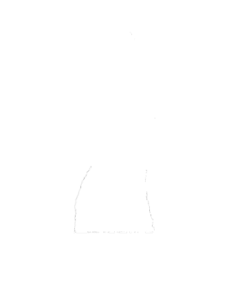 Kevin Okeith Fine Art