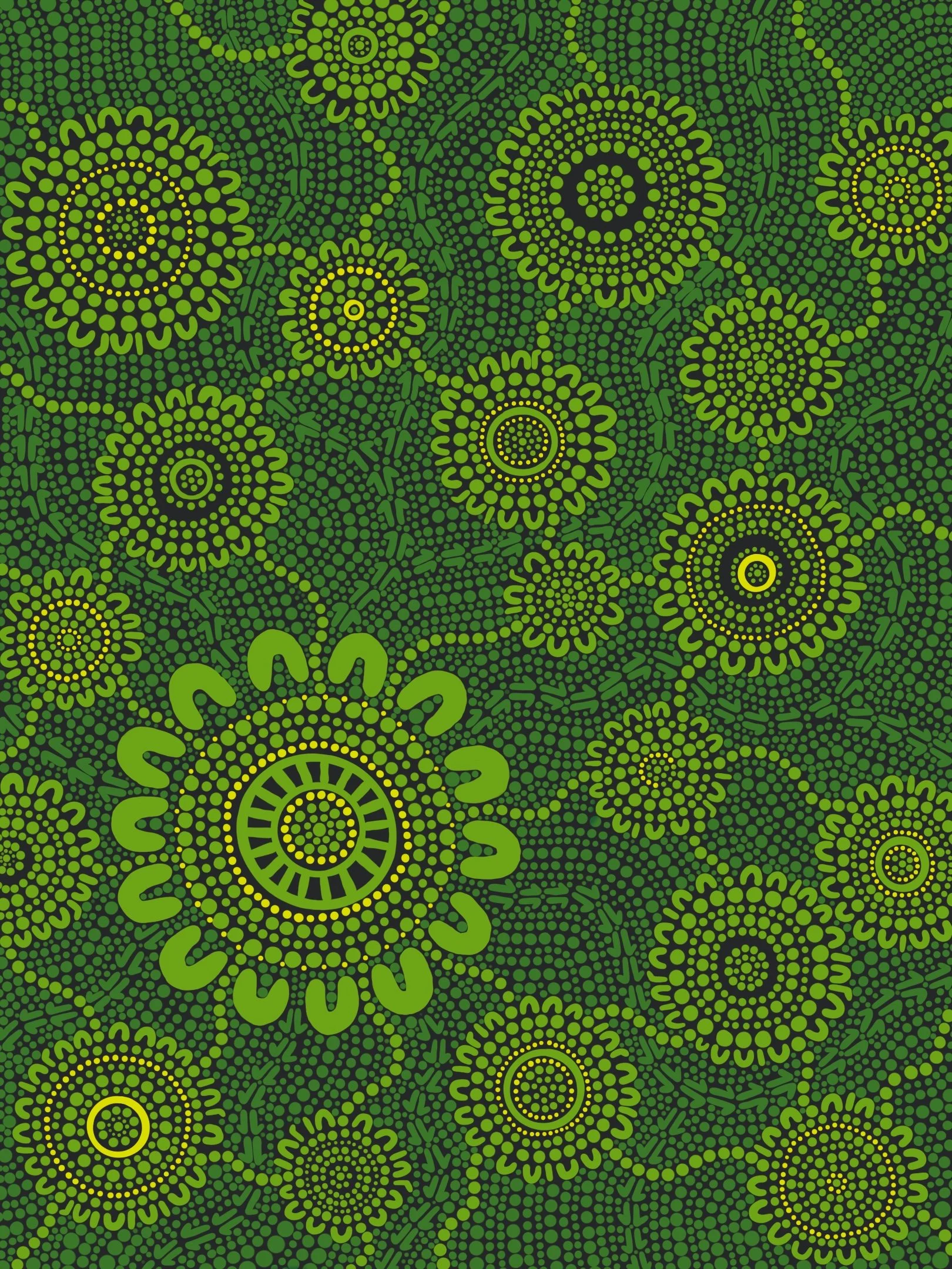 South East Melbourne Phoenix Indigenous Round Jersey 2022