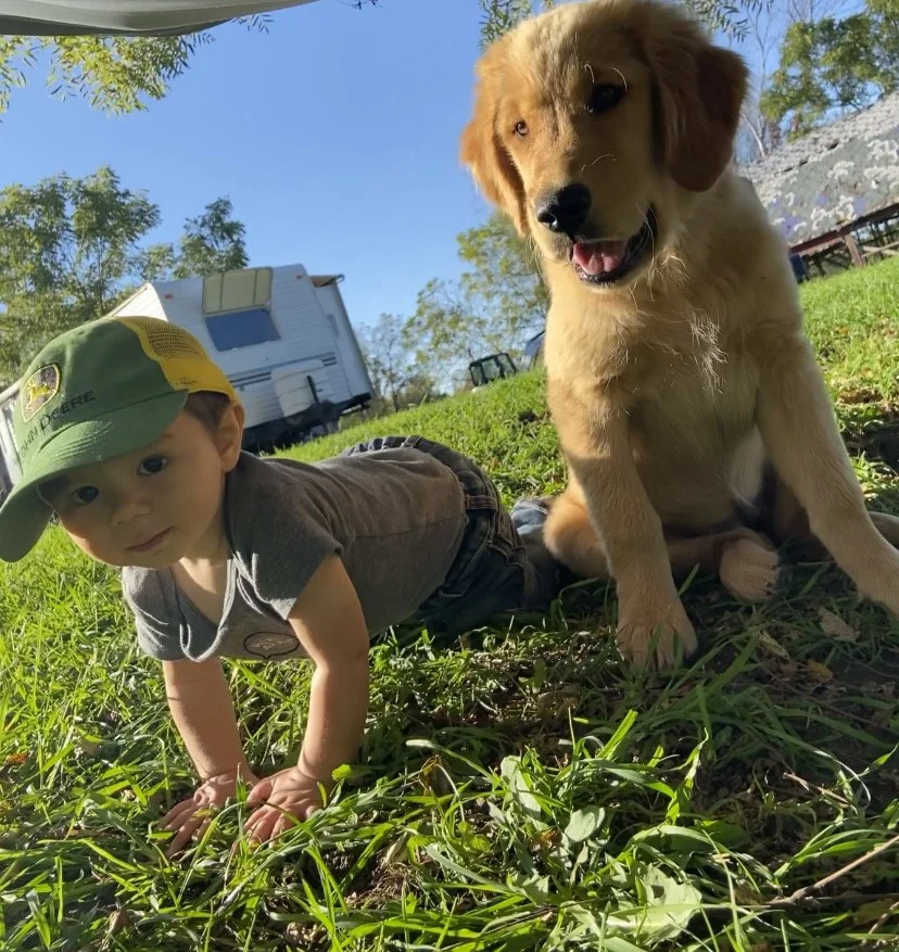 A young boy crawling on the grass outdoors next to a golden retriever puppy, with a camper trailer and trees in the background on a sunny day.