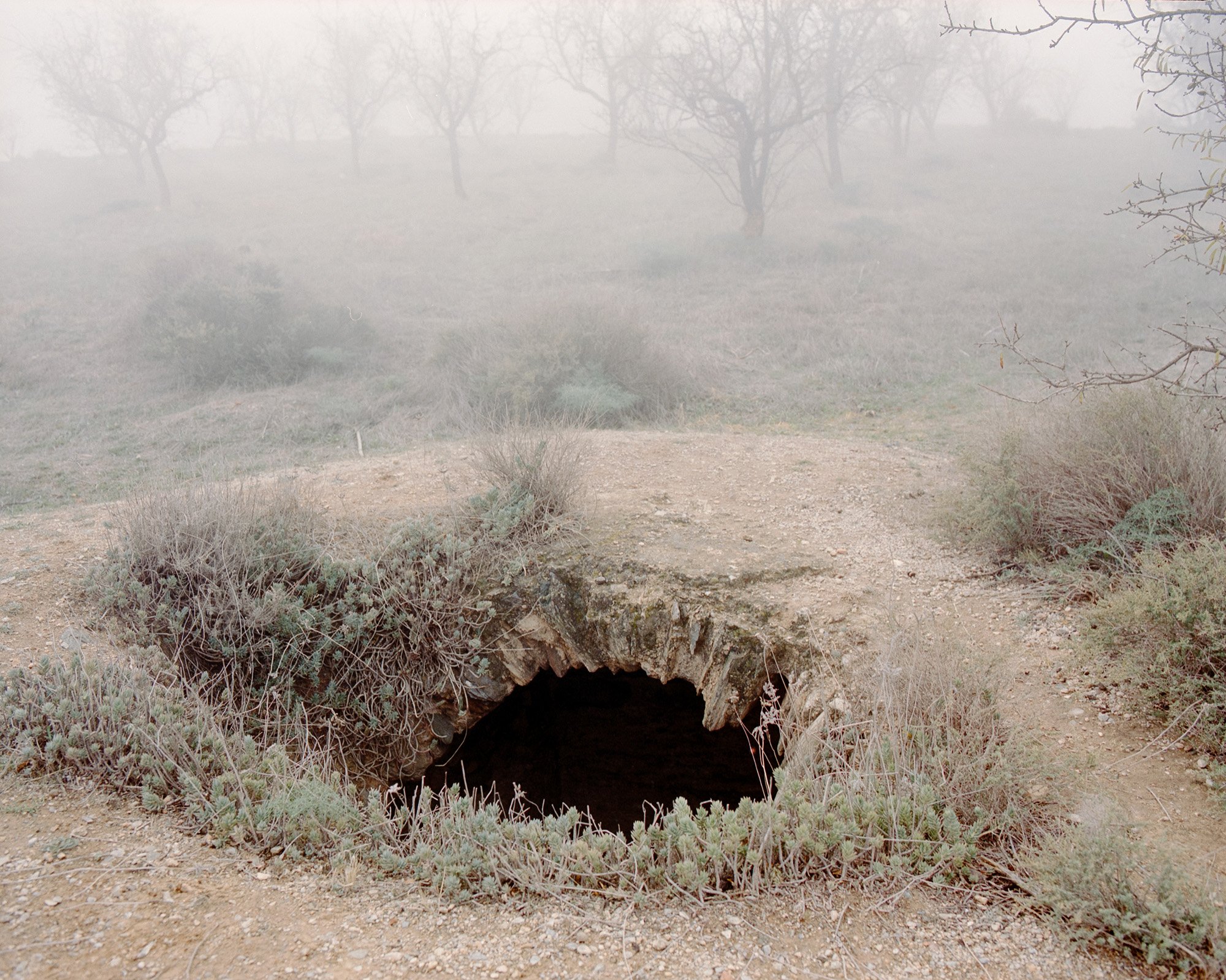 Altiplano_CASTILLA7.jpg