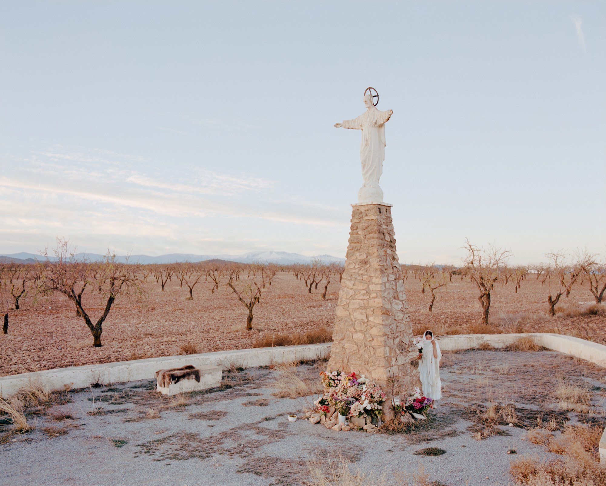 Altiplano_CASTILLA6.jpg