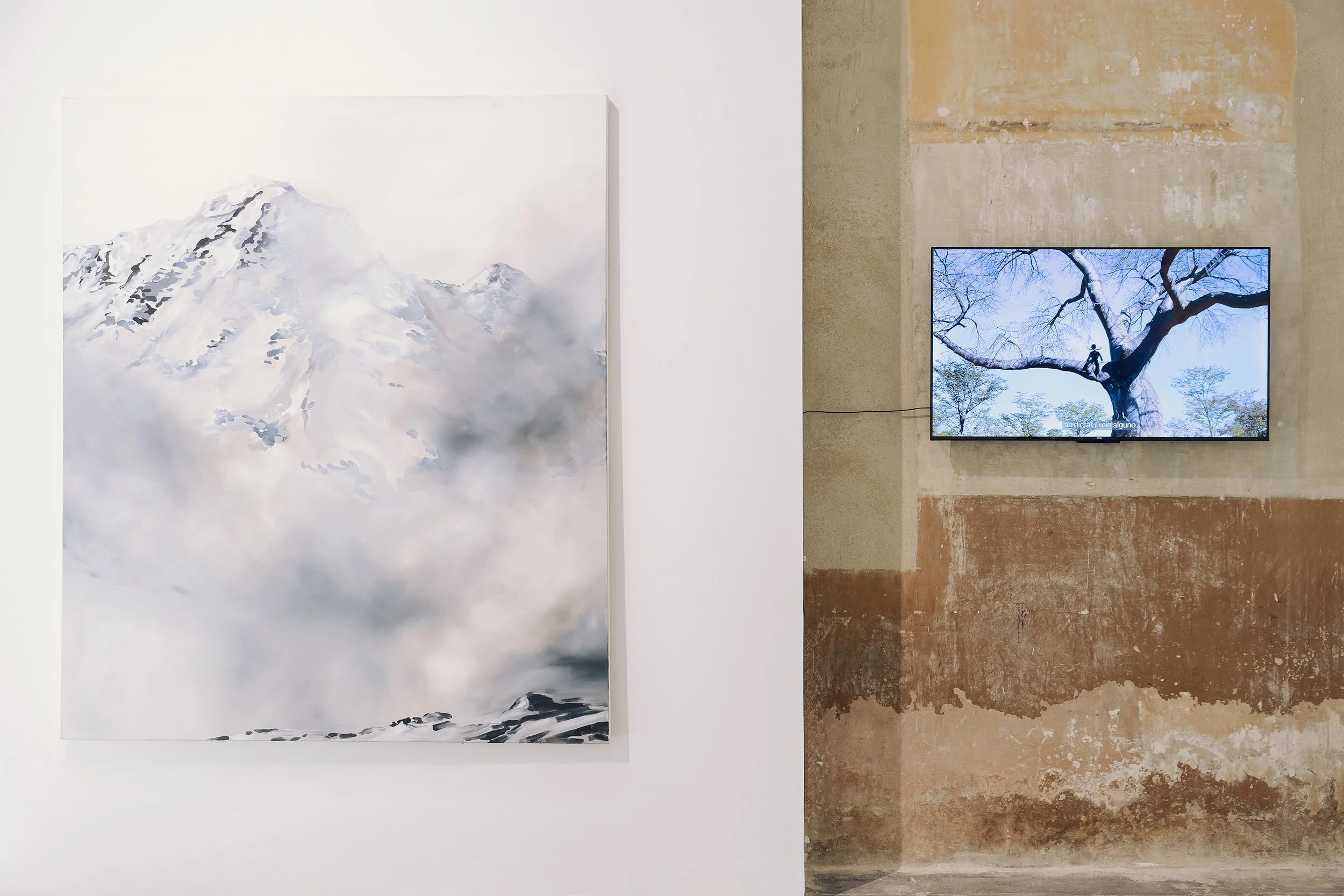 Terra incognita unknown land curated exhibition Altiba9 gallery Barcelona 2026-3.jpg