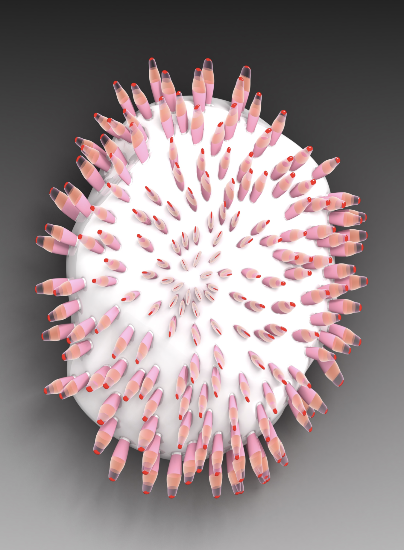 Screenshot 2020-11-27 at 13.15.21.png