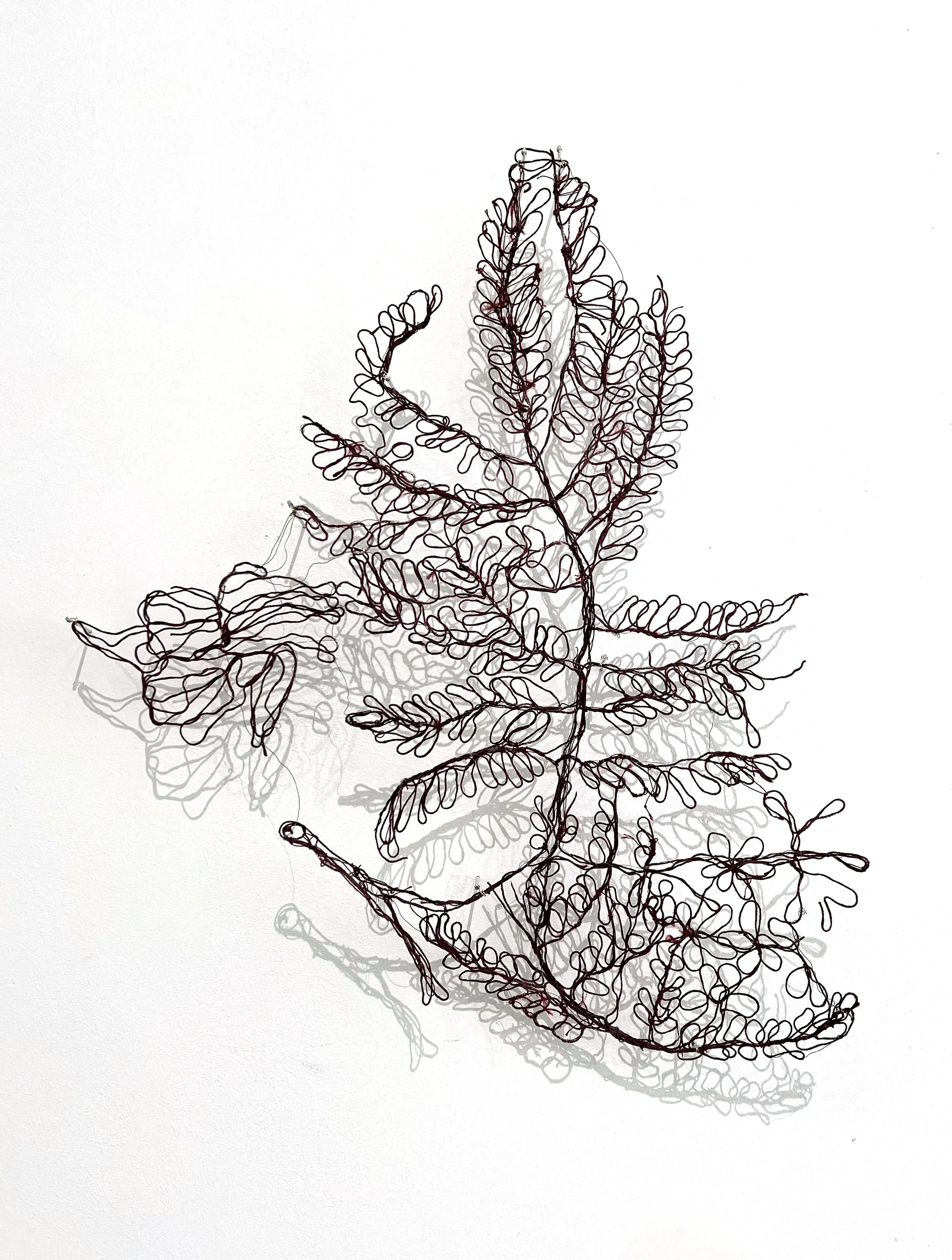 marina gasparini Al-Tiba9 Gallery