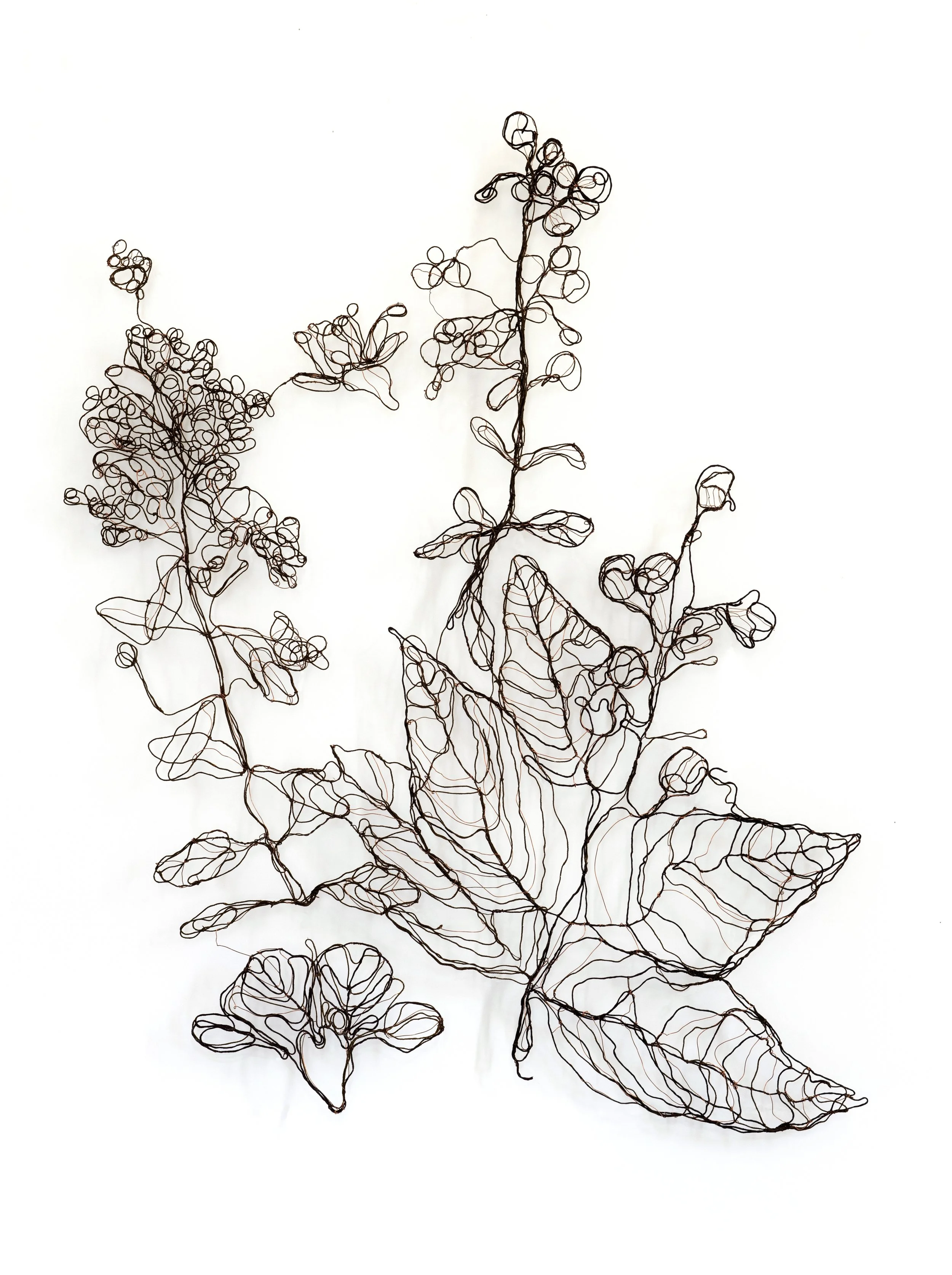 lawsonia_inermis Atlas X Marina Gasparini Al-Tiba9 Gallery textile art plants thread color.jpg