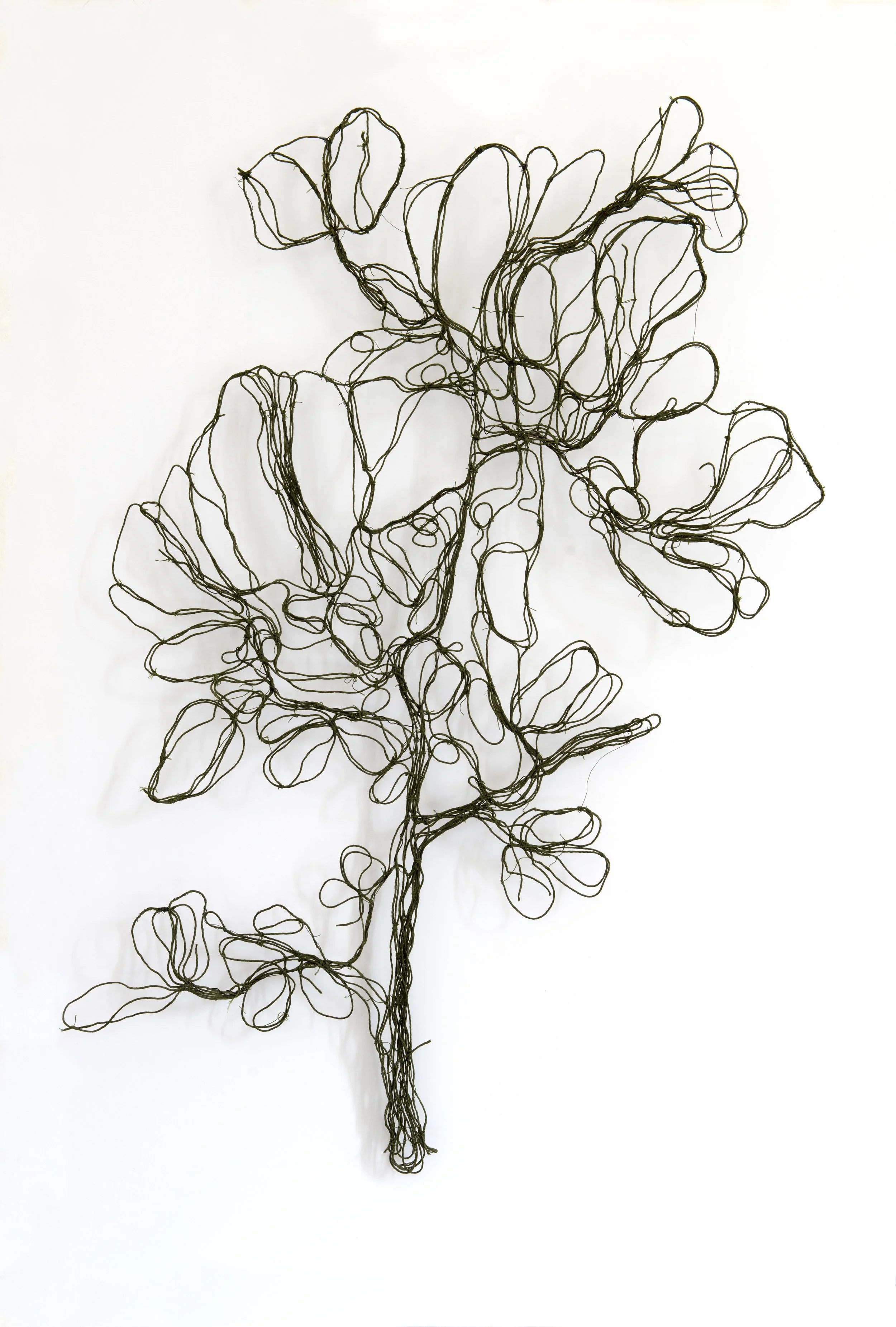 Calictome_villosa Atlas X Marina Gasparini Al-Tiba9 Gallery textile art plants thread color.jpg