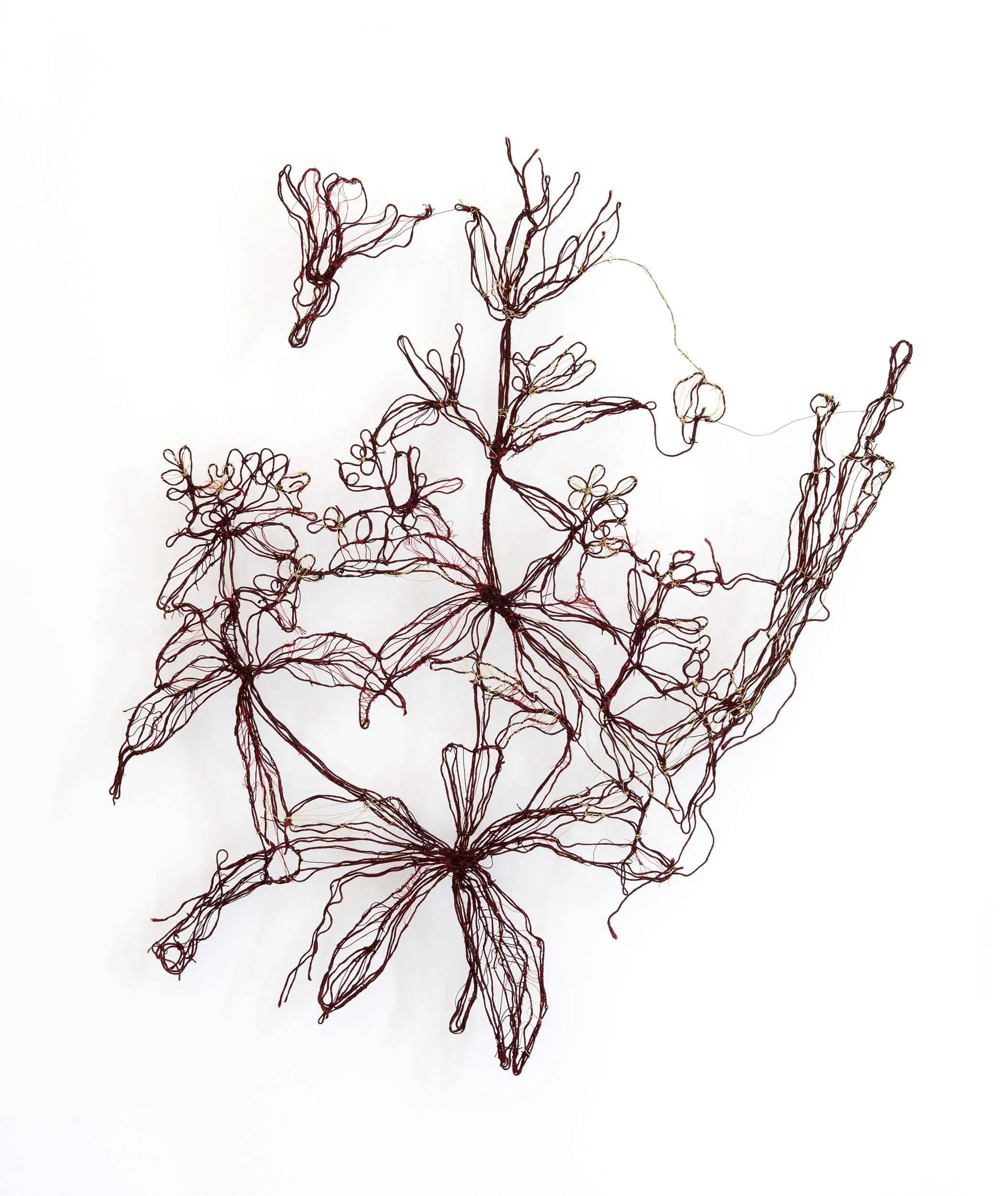 rubia tinctorum Atlas X Marina Gasparini Al-Tiba9 Gallery textile art plants thread color