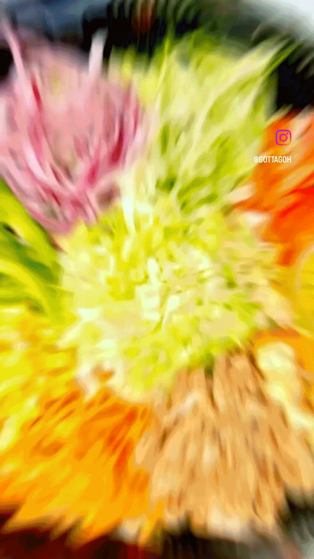 subhei-zoom.gif