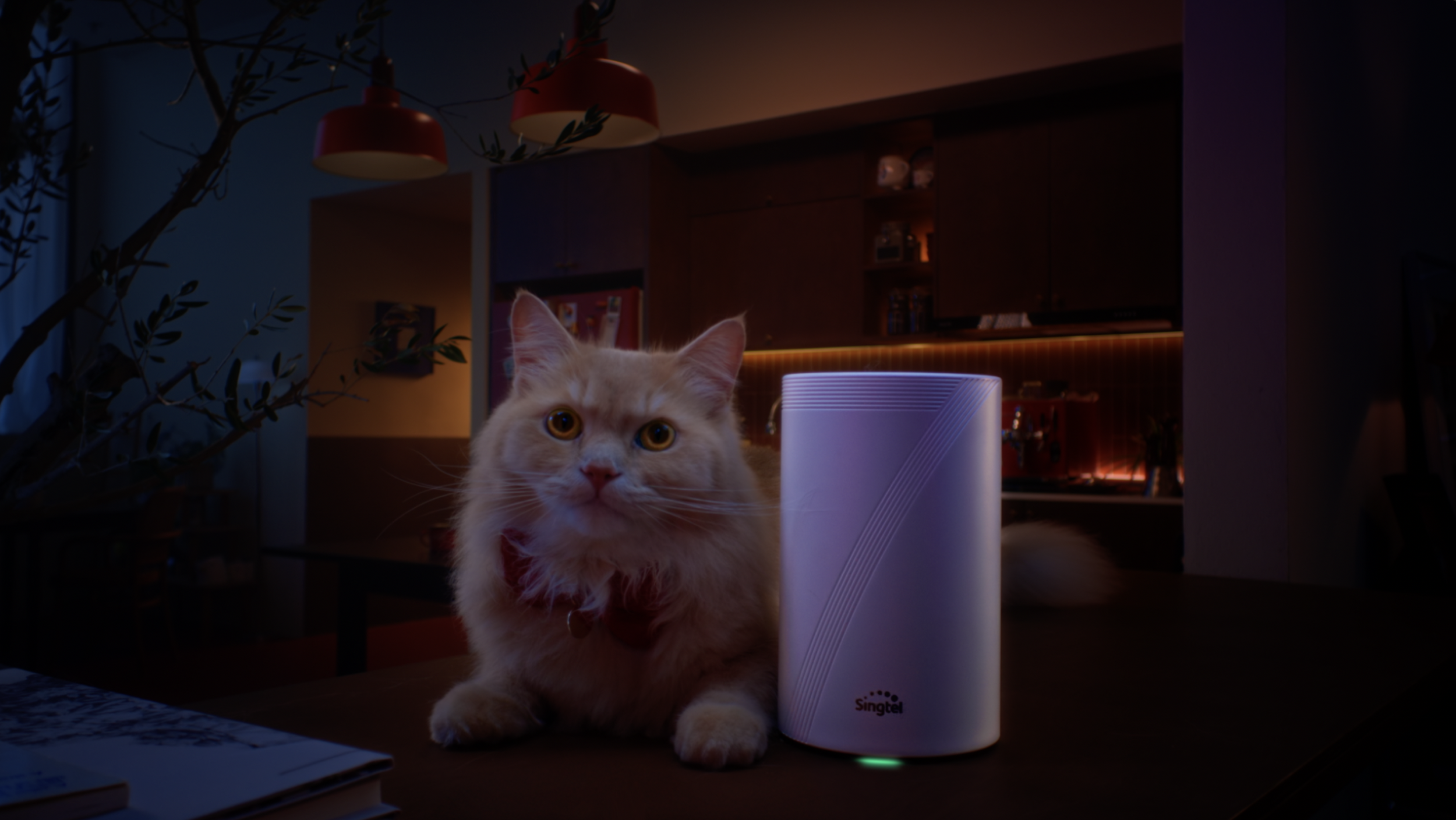 Screenshot 2026-03-23 at 2.49.38 PM.png