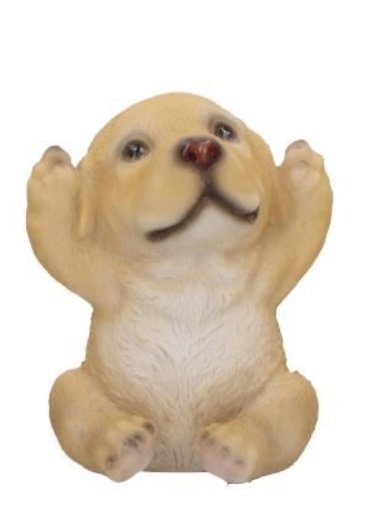 6A6B0014-9F79-445C-9741-CE52C406DA48.jpeg