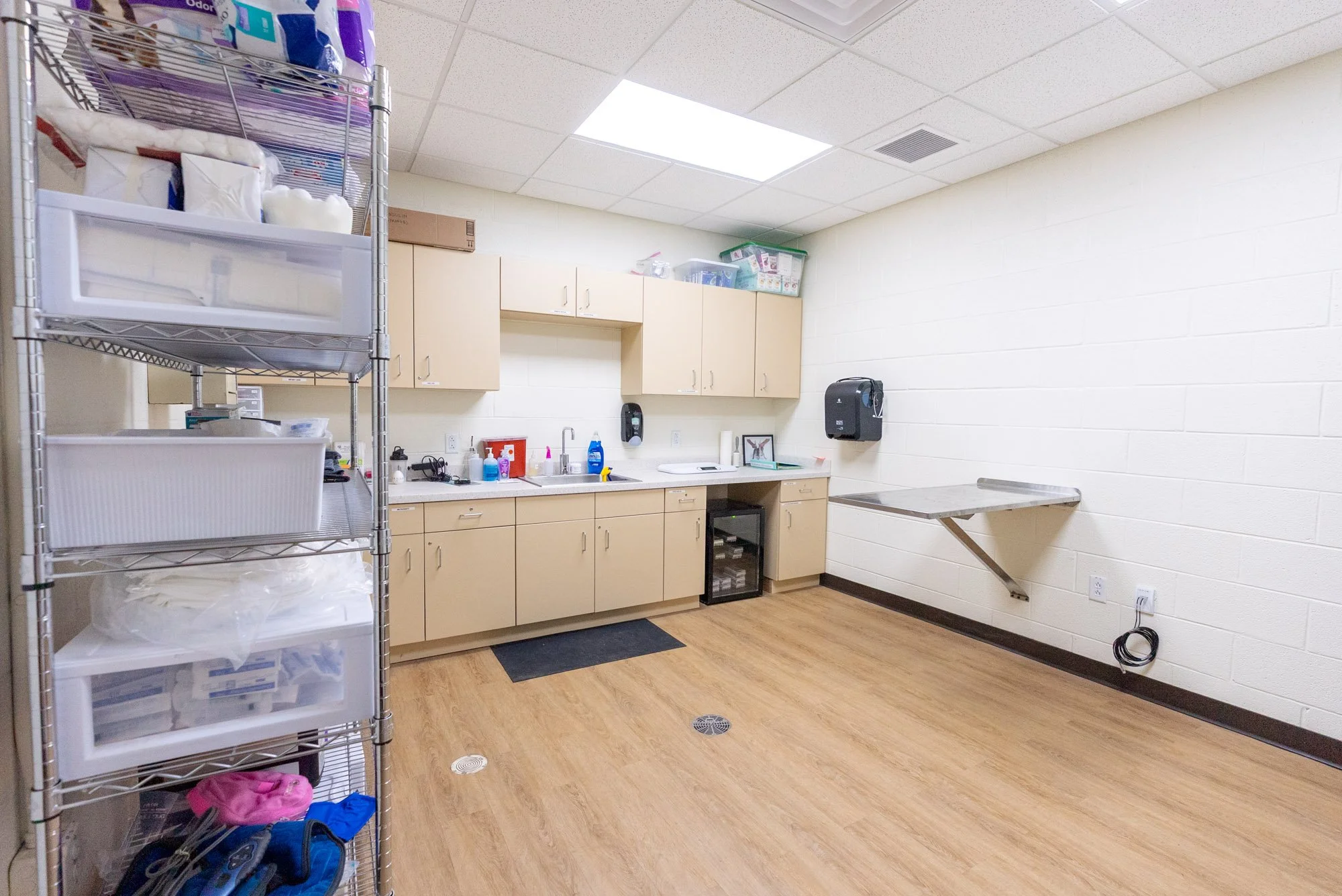 Inside of the Verona Animal Shelter