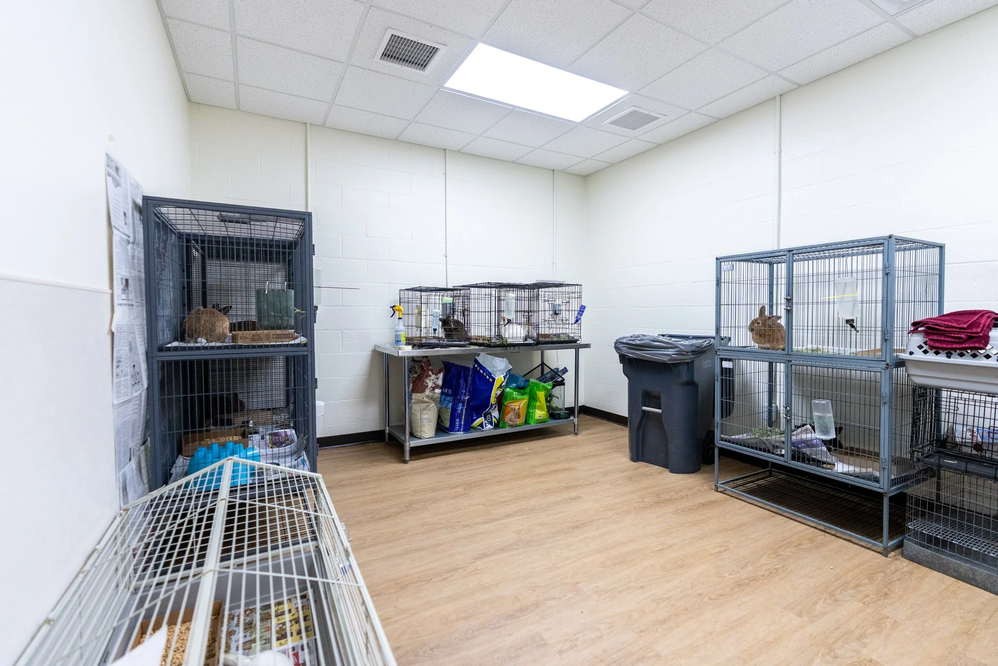 Verona Animal Shelter Complete - For Web-15.jpg