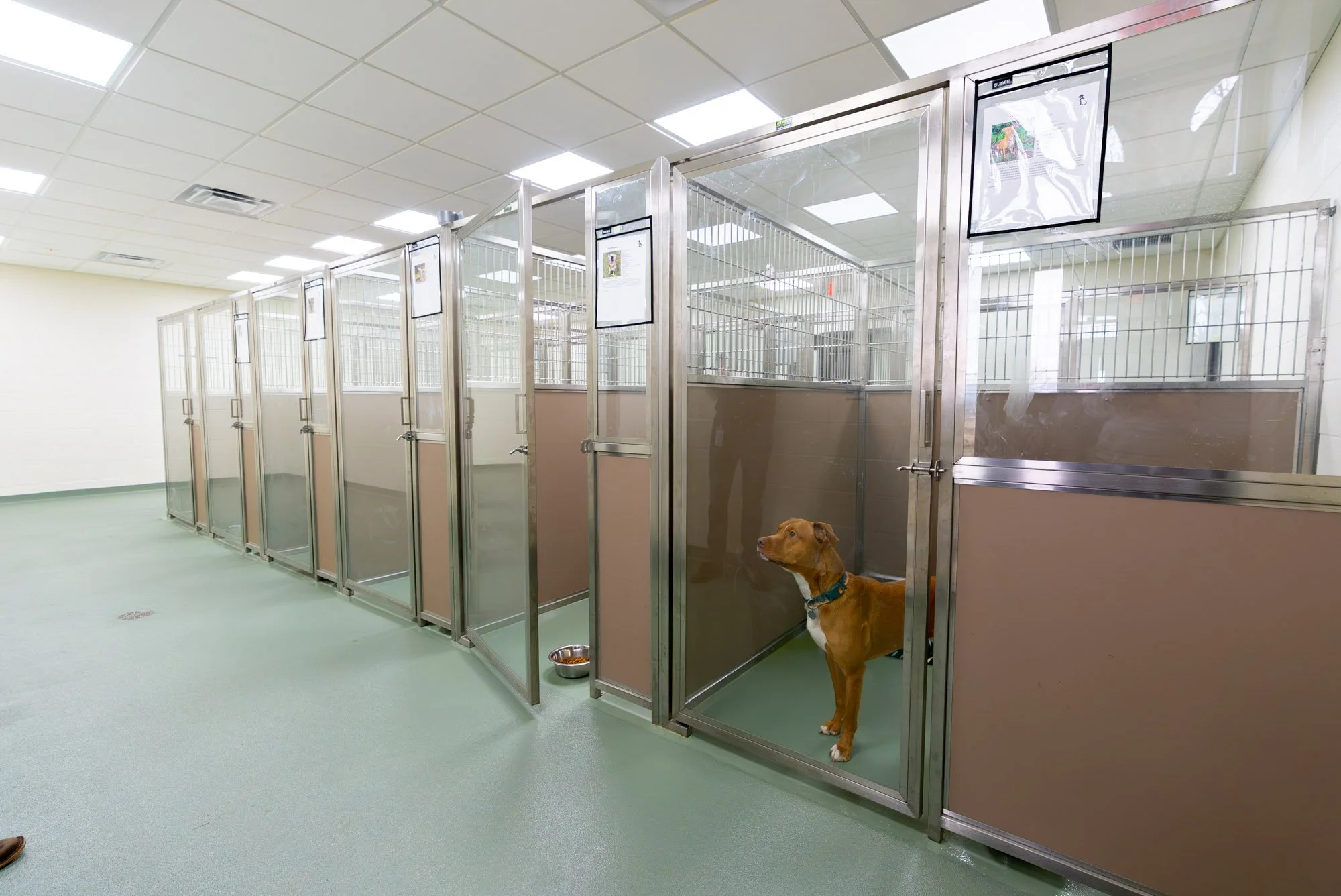 Verona Animal Shelter Complete - For Web-16.jpg