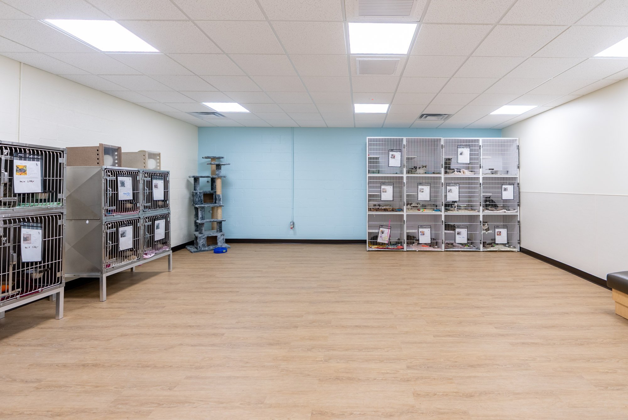 Verona Animal Shelter Complete - For Web-8.jpg