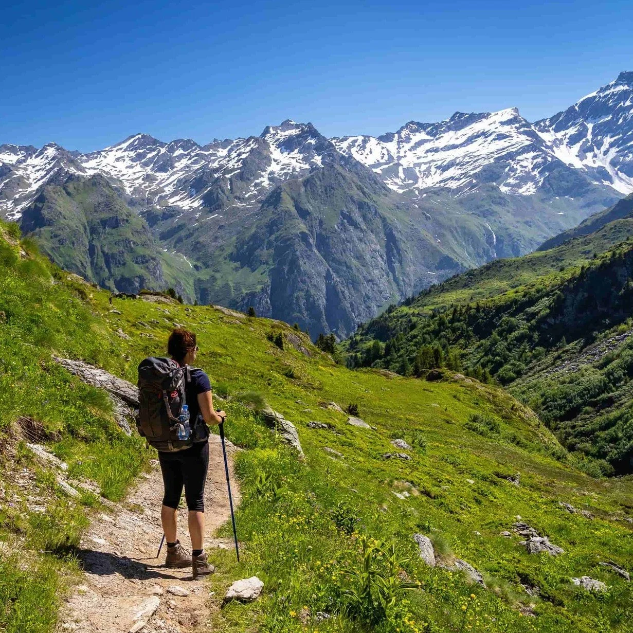 As the first of our 2026 trekkers set off, we're wishing all our customers the very best on their summer alpine adventures!! (and looking forward to their photos, of course...) ☀🏔🥾📸
