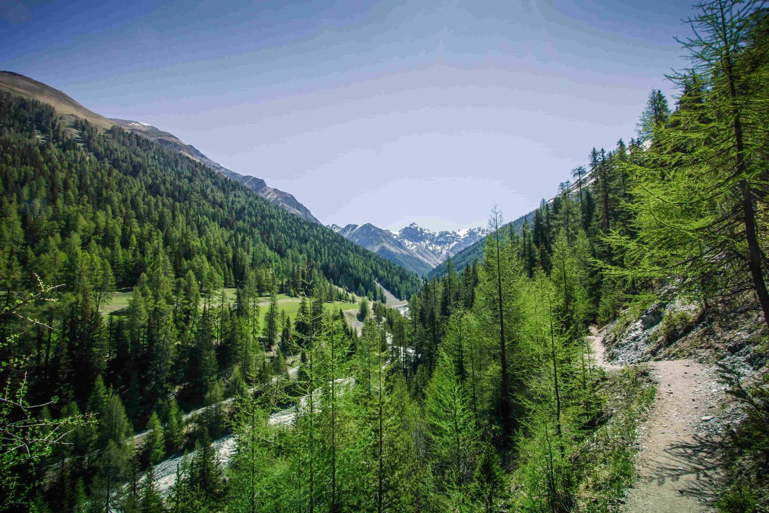 Explore the Engadin Valley & St Moritz - 2023