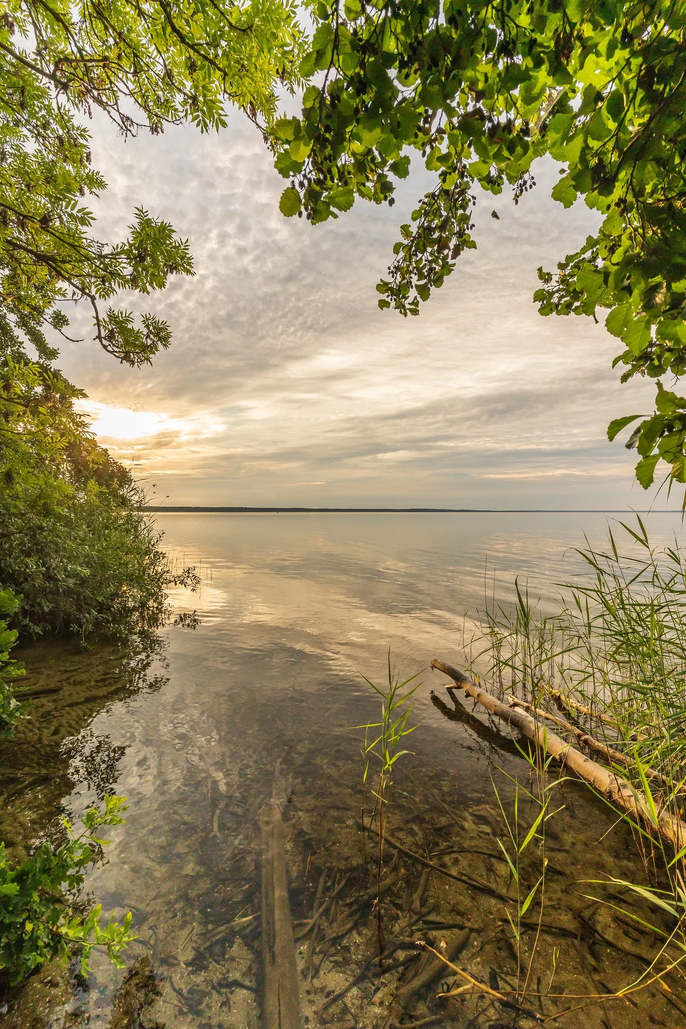 Beautiful Müritz XI